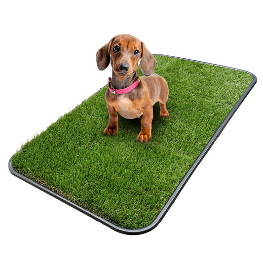 Ottomanson Artificial Grass Puppy Potty Training Pad with Tray, 15" x 30" Reusable Pee Pad The Dachshund Zone