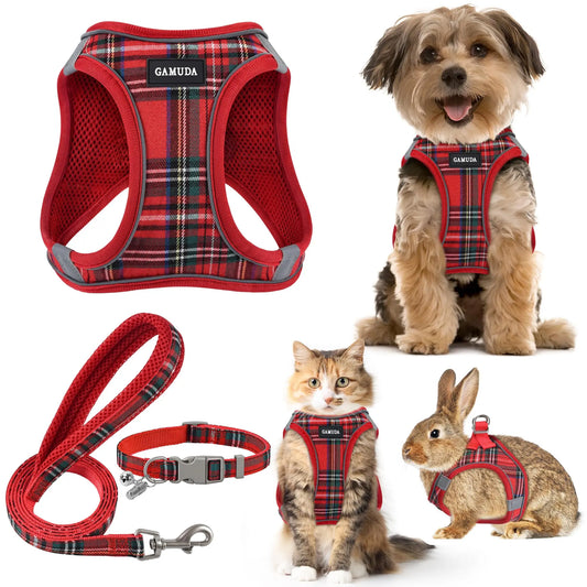 Small Dog Harness Collar and Leash Set, Reflective The Dachshund Zone