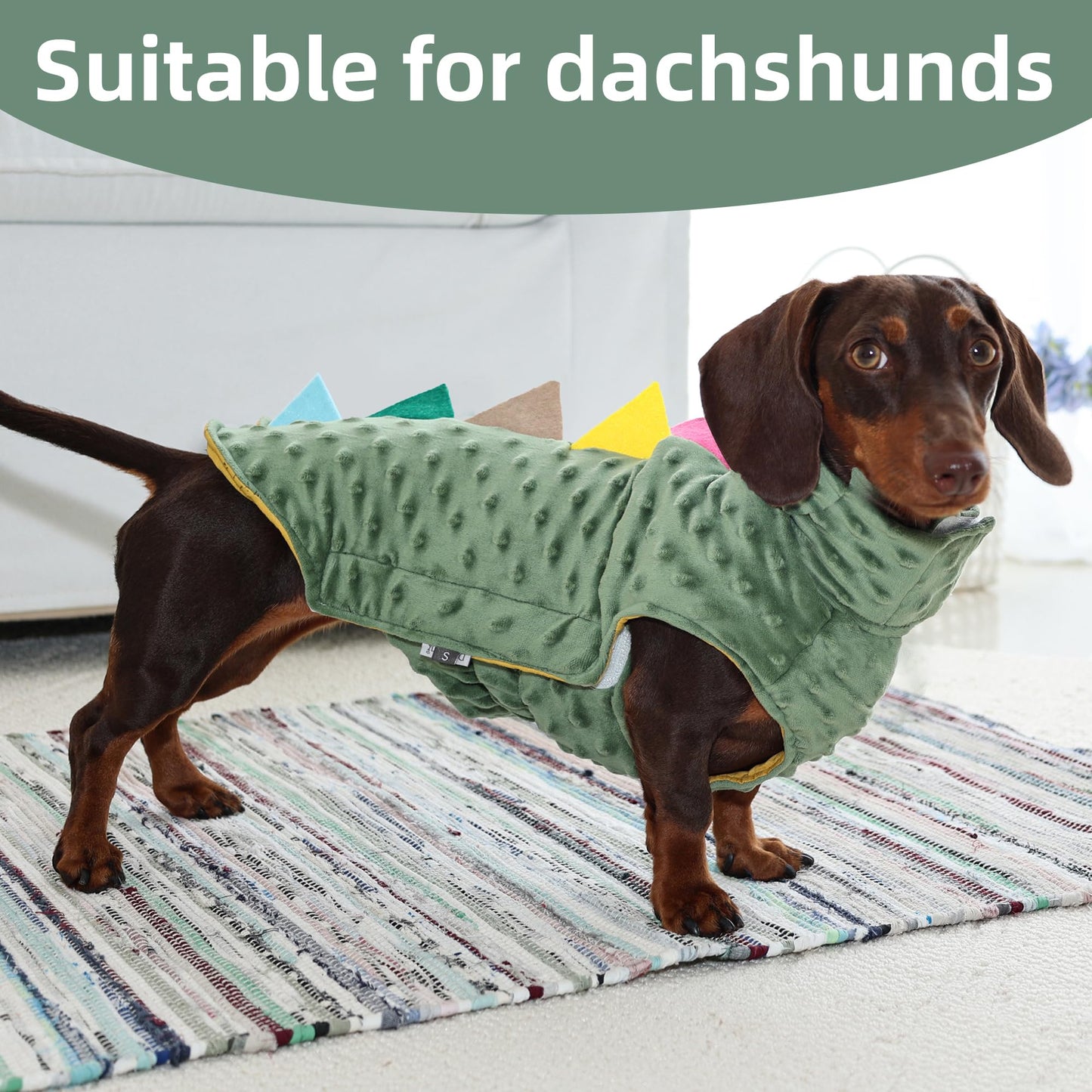 Dinosaur Clothing Dog Shirt The Dachshund Zone