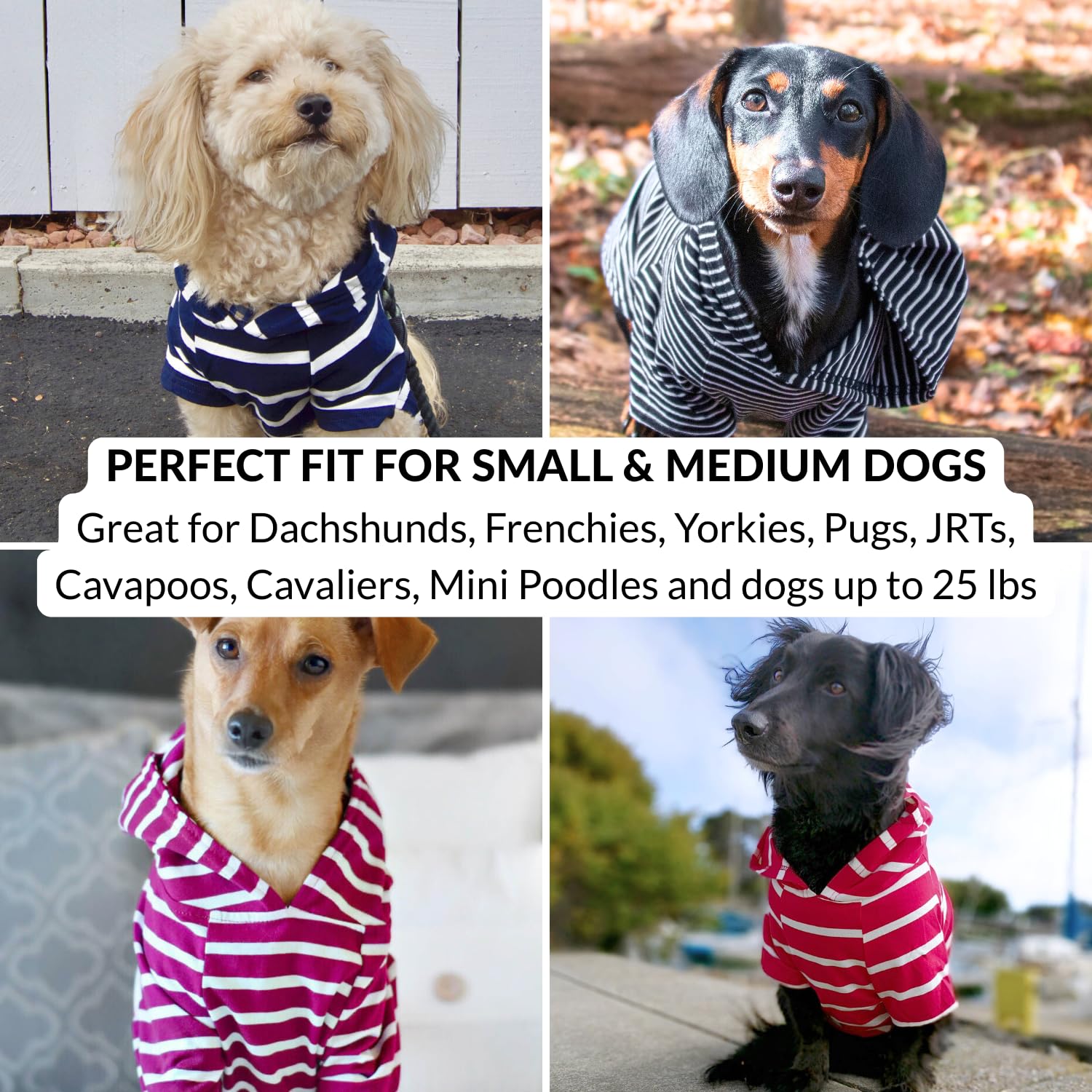 Dog Hoodie – Warm, Lightweight, Soft & Stretchy Dog Sweater The Dachshund Zone