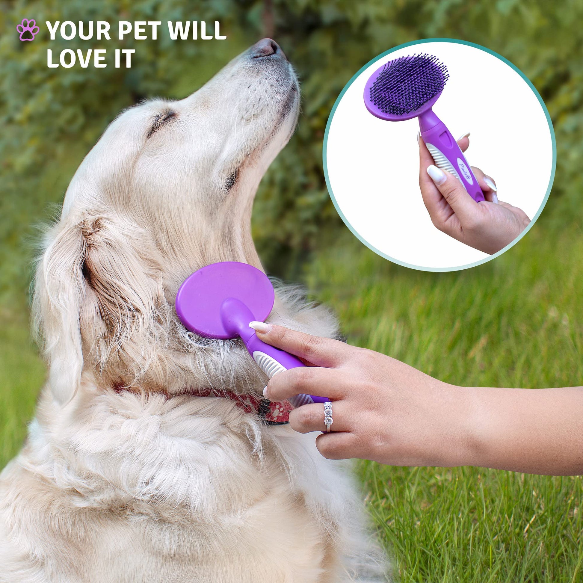 Round Bristle Pet Brush for Dogs and Cats - Soft Dog Brush for Grooming Short or Long Hair The Dachshund Zone