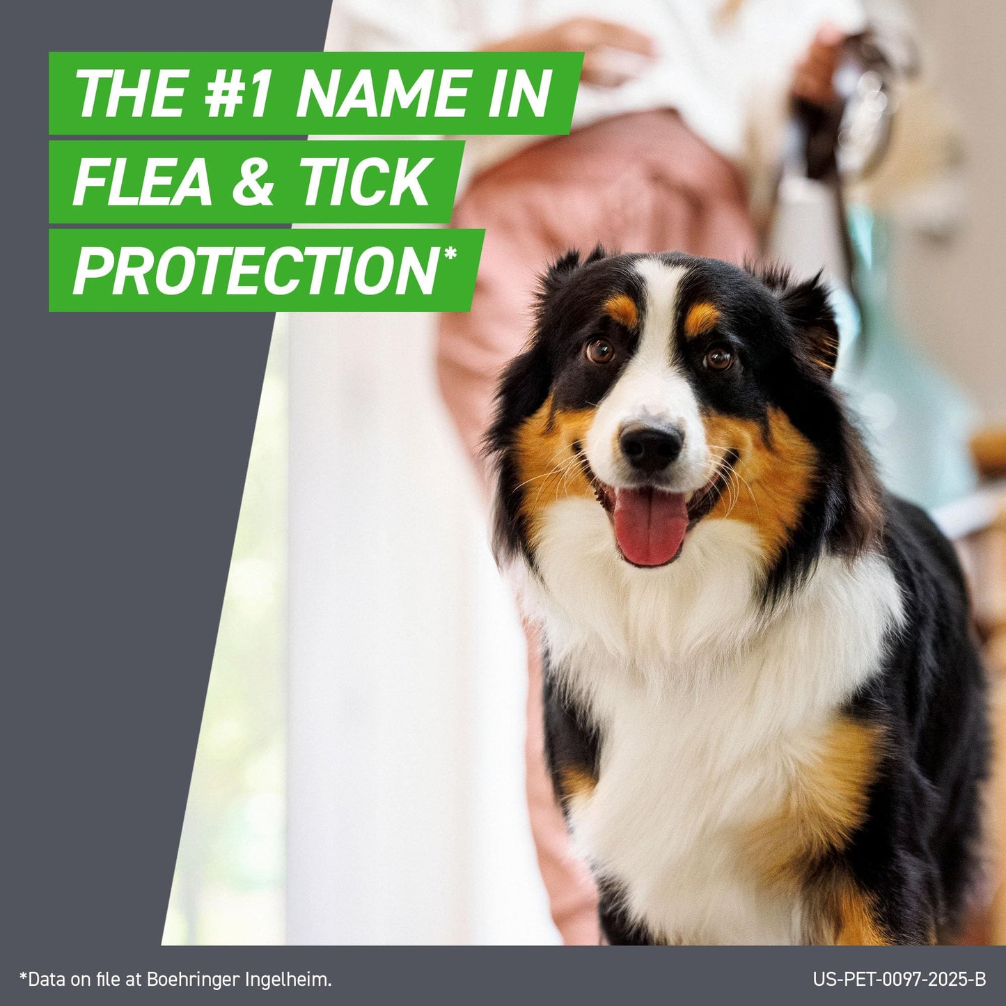 FRONTLINE Plus Flea and Tick Treatment for Small Dogs The Dachshund Zone