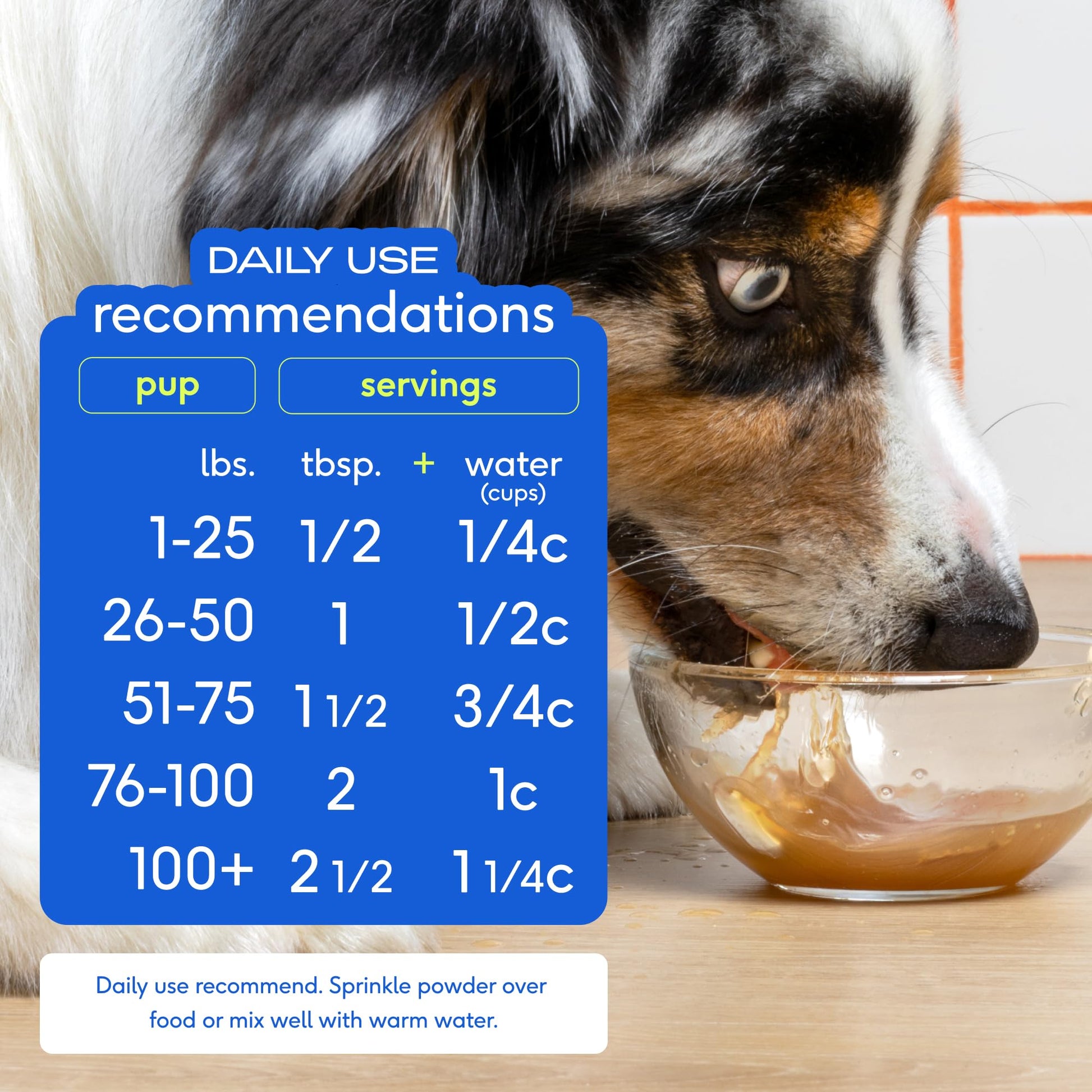Native Pet Bone Broth for Dogs - Made with Real Beef Bone Broth The Dachshund Zone