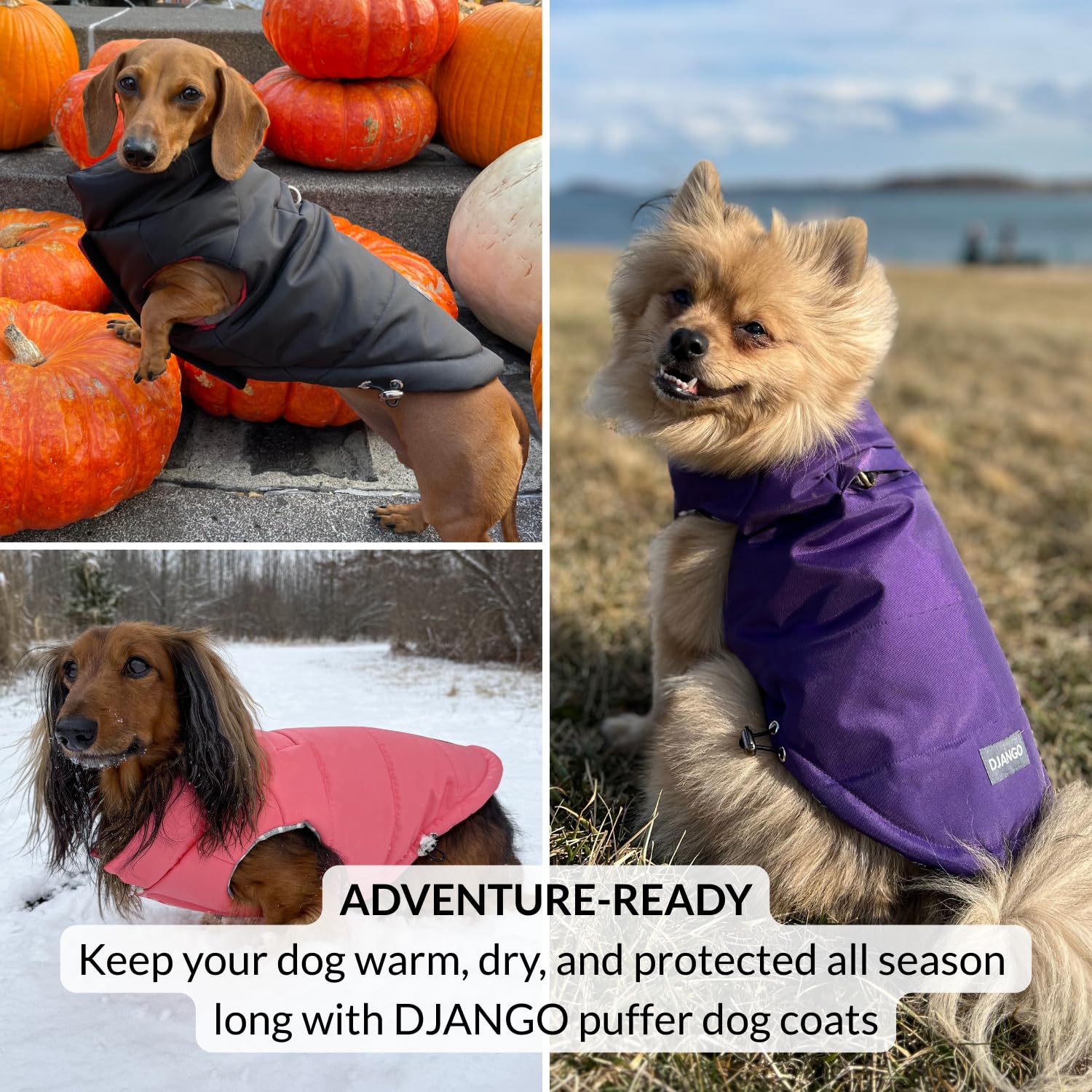 DJANGO Puffer Dog Coat – Warm Winter Dog Jacket & Water-Repellent Insulated Puffer Vest The Dachshund Zone
