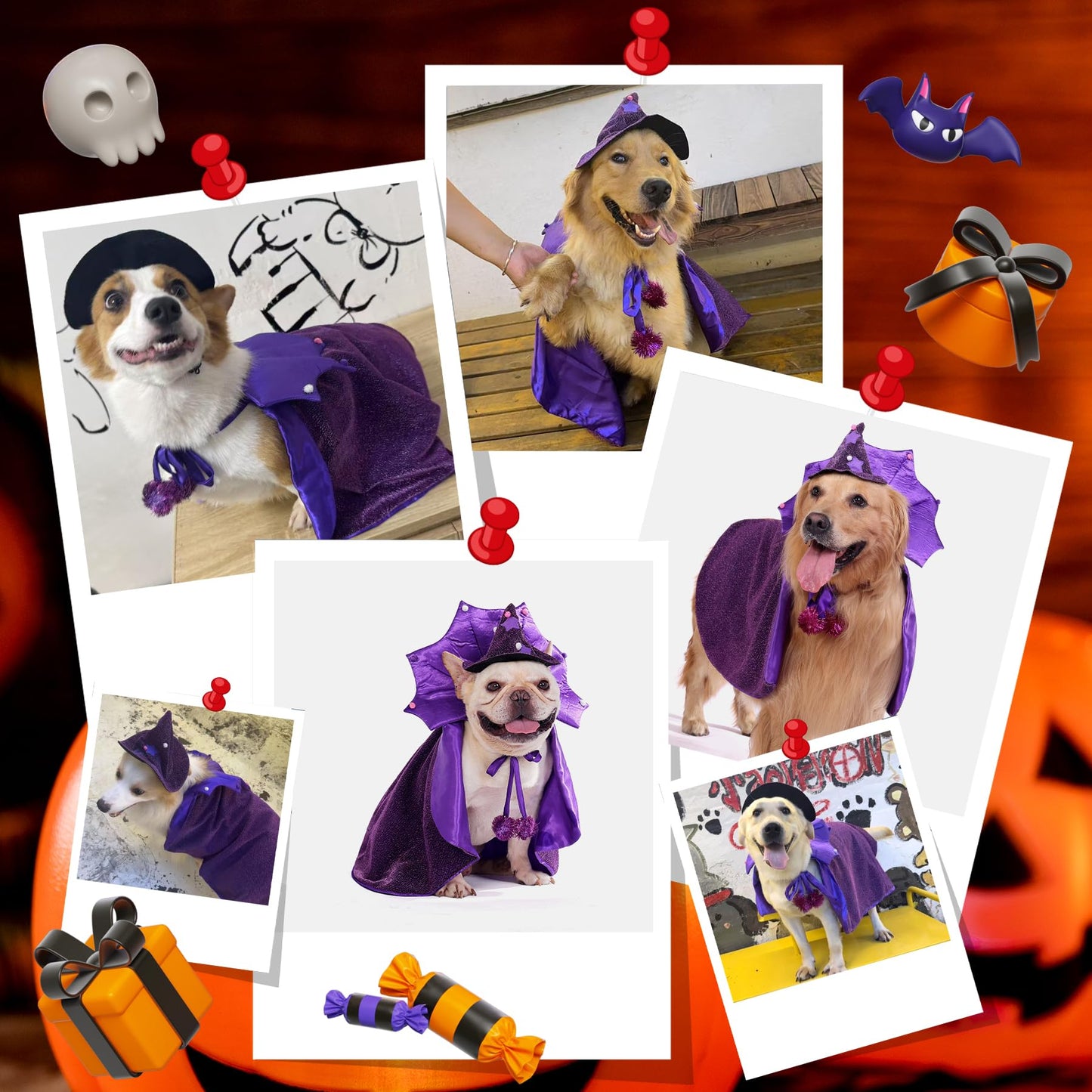 Kagoty Small Dog Halloween Costumes The Dachshund Zone