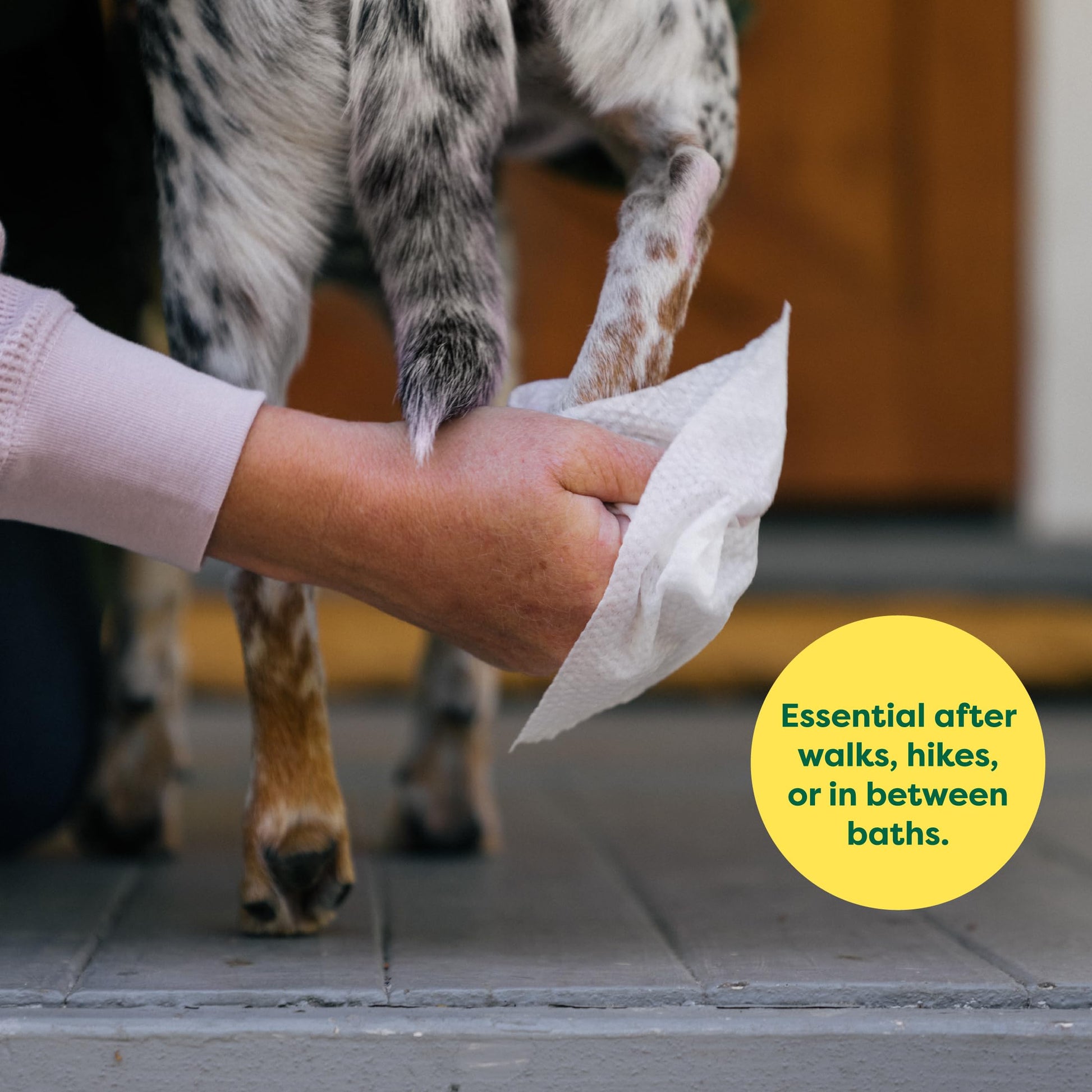 Earth Rated Dog Wipes, Hypoallergenic, Cleaning and Hydrating The Dachshund Zone