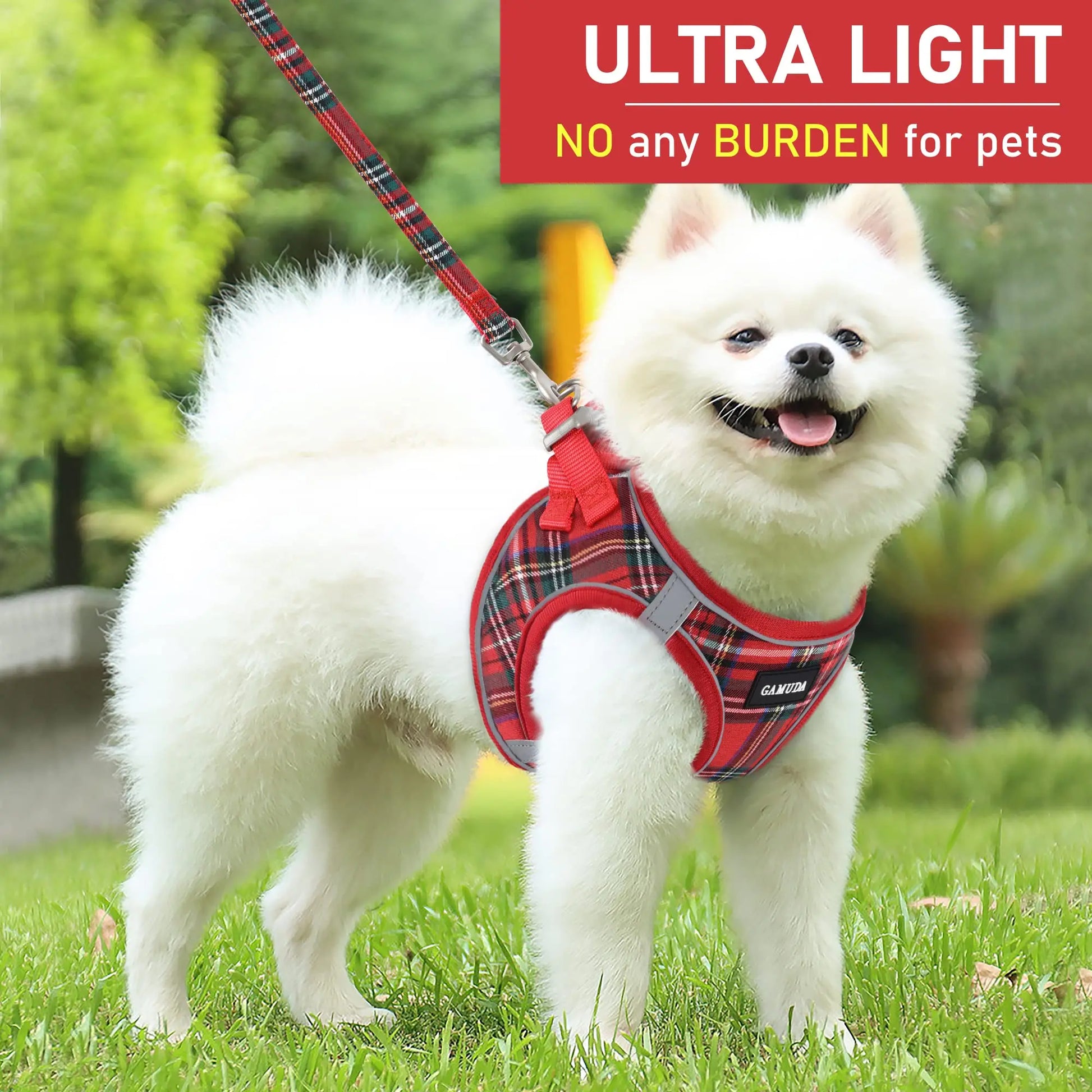 Small Dog Harness Collar and Leash Set, Reflective The Dachshund Zone