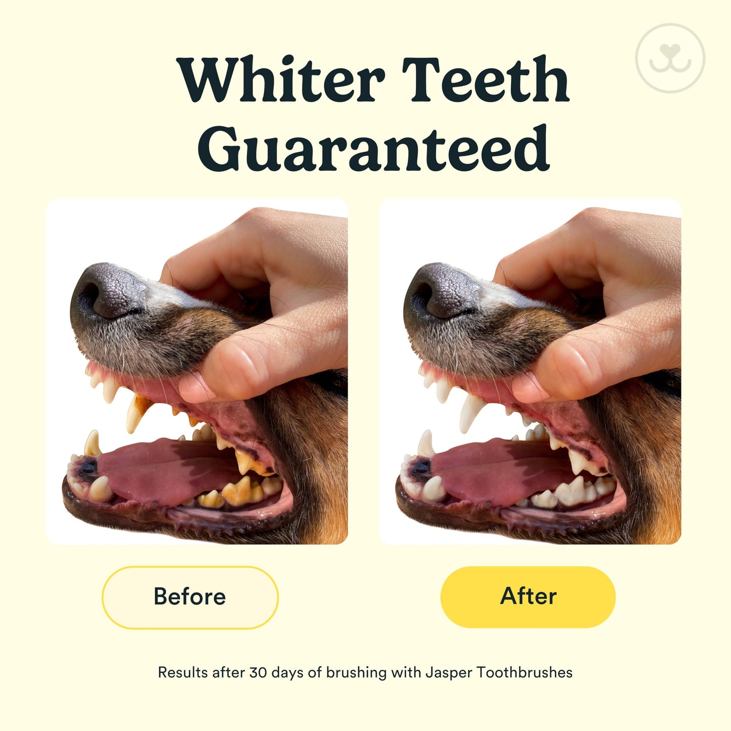 Jasper Dog Toothbrush, 360 Degree Pet Tooth Brushing Kit Toothbrush The Dachshund Zone