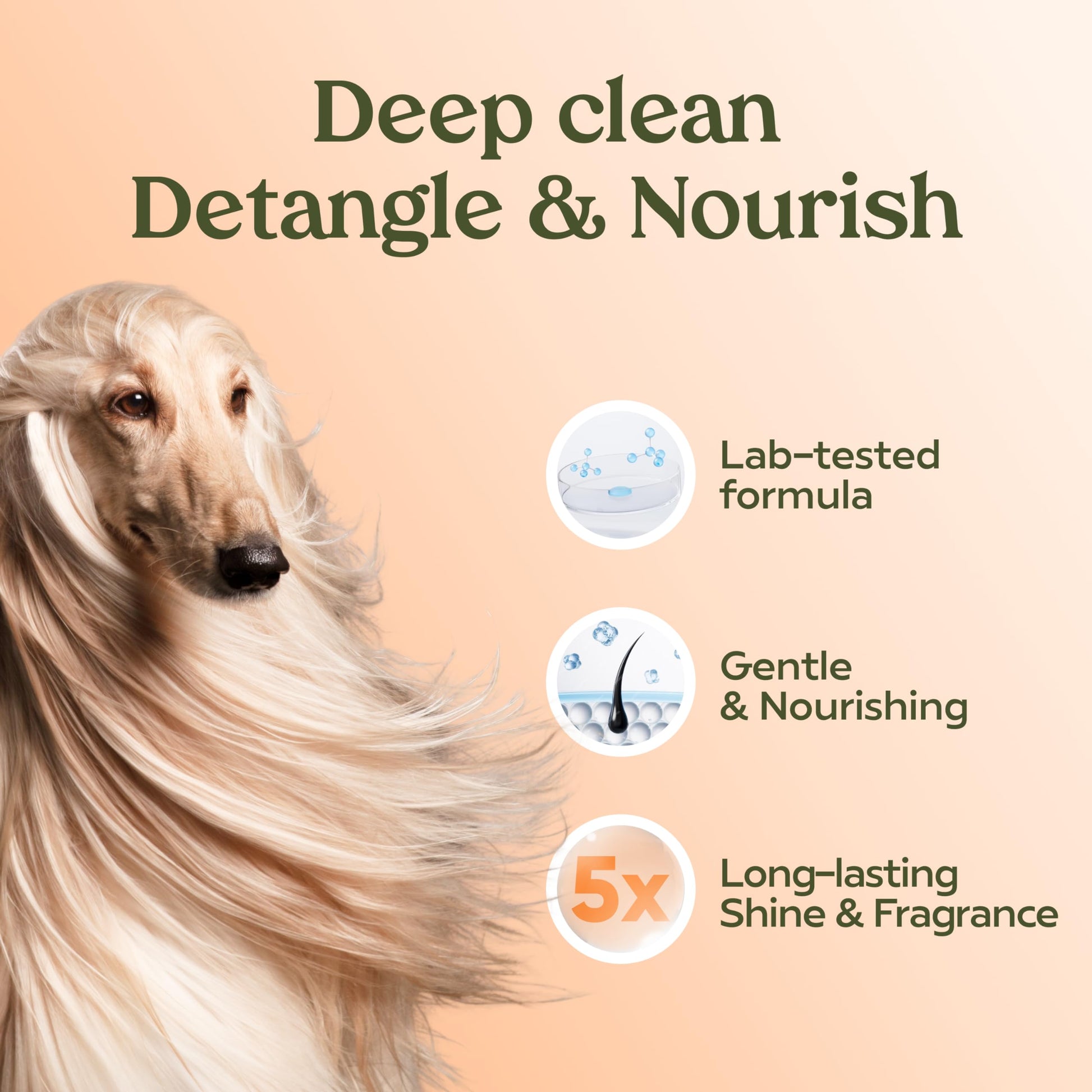 PAWFUME Deshedding Dog Shampoo and Conditioner, Show Dog The Dachshund Zone