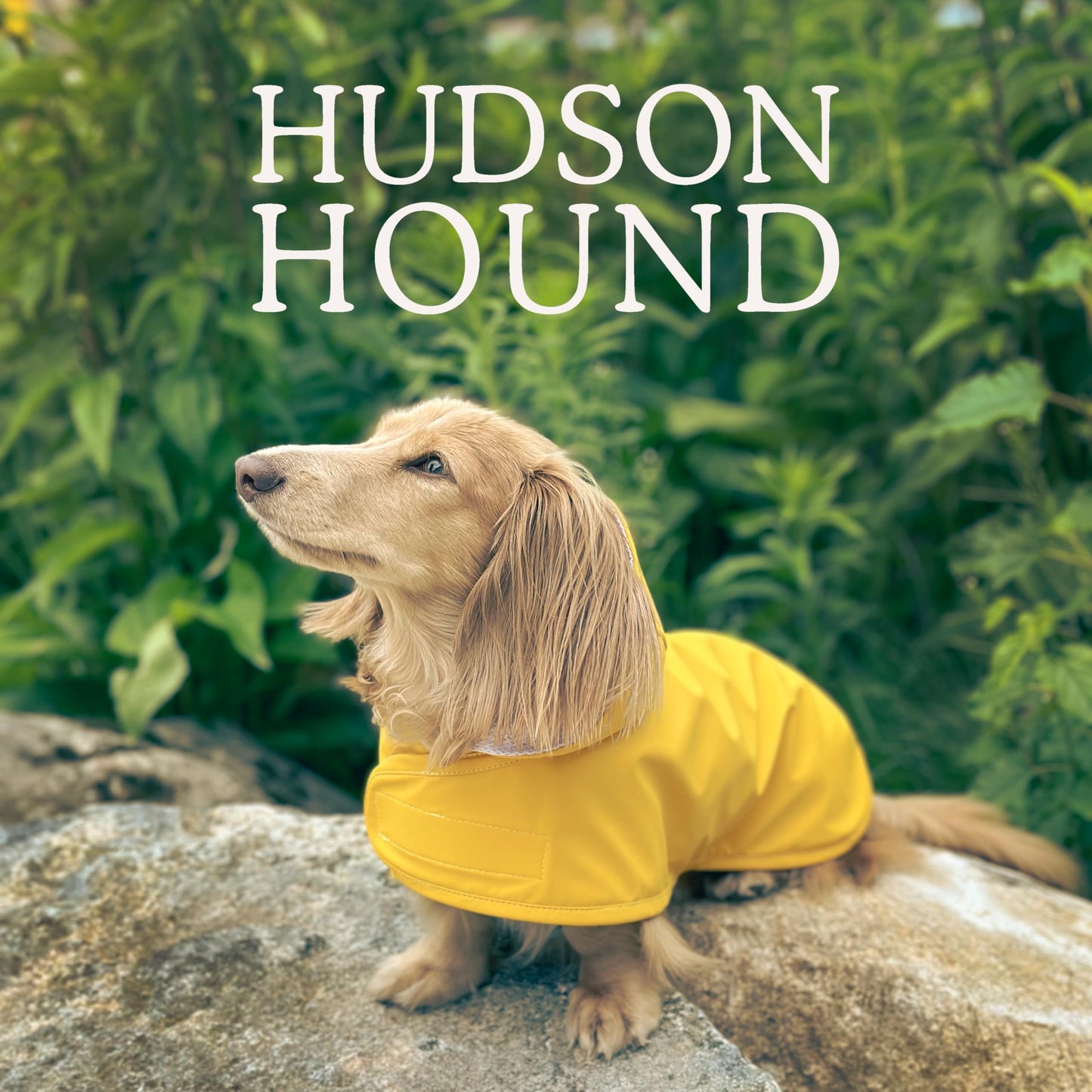 Hudson Hound, Dachshund Raincoat, Sausage Dog Rain Jacket The Dachshund Zone