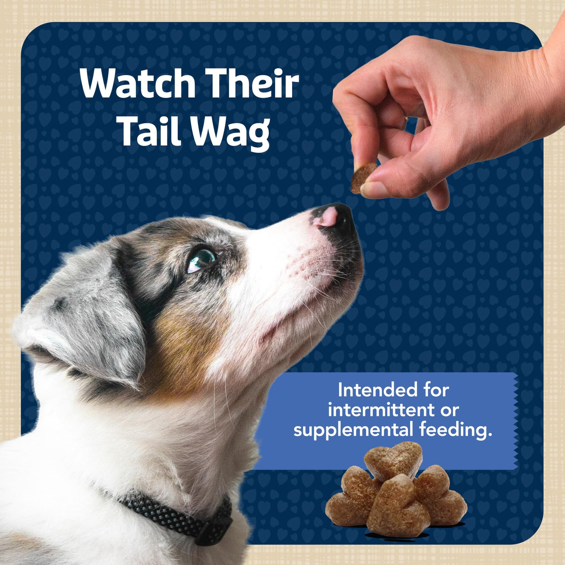 Blue Buffalo Bits Soft Dog Treats for Training The Dachshund Zone