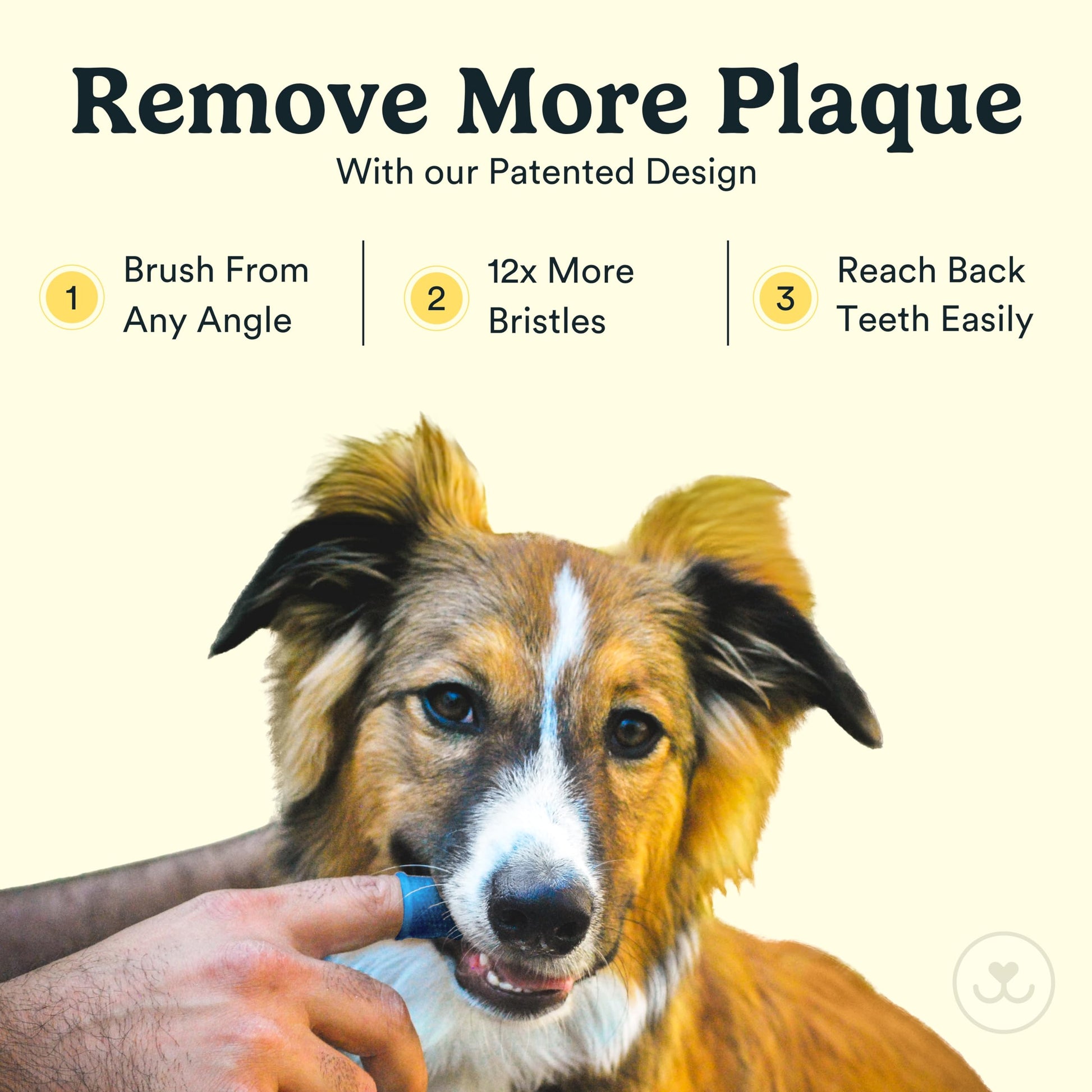 Jasper Dog Toothbrush, 360 Degree Pet Tooth Brushing Kit Toothbrush The Dachshund Zone