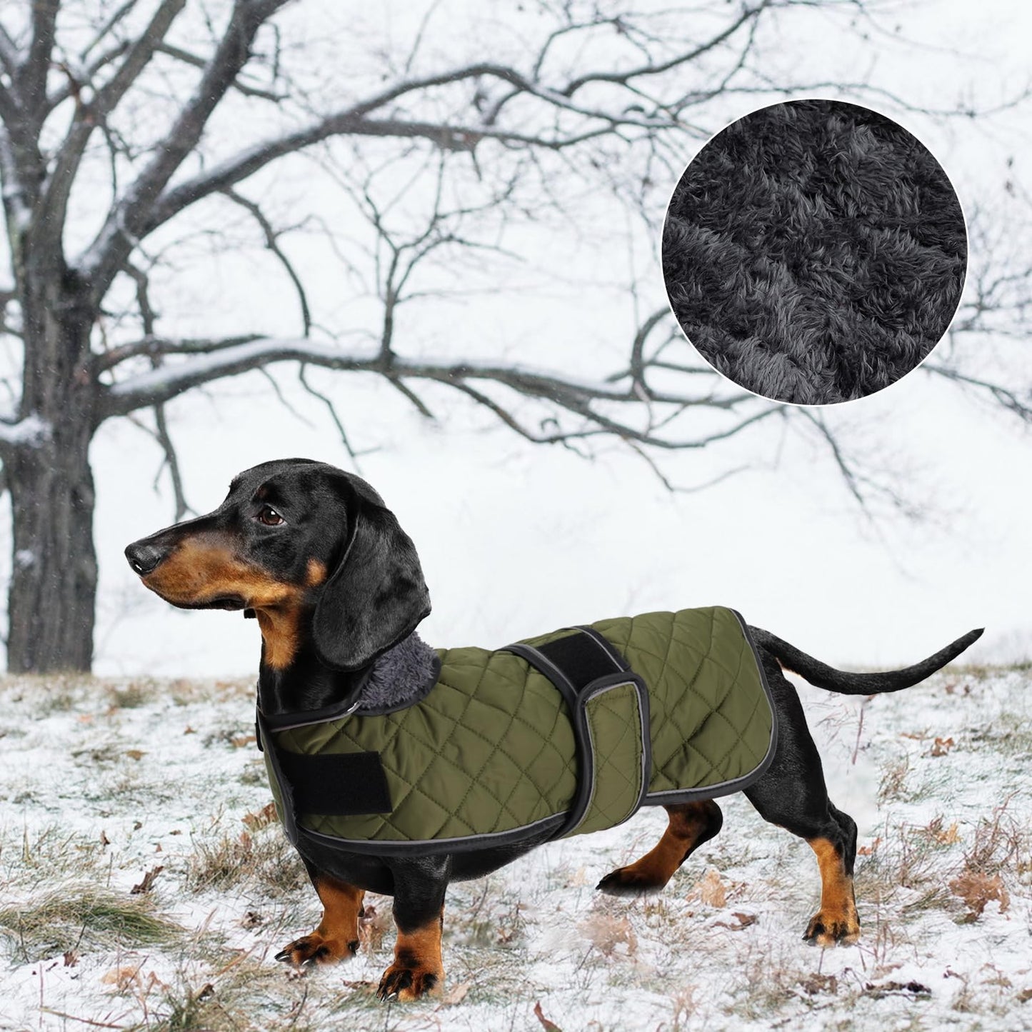 Warm Thermal Quilted Dachshund Coat,Dog Winter Coat with Warm Fleece Lining The Dachshund Zone