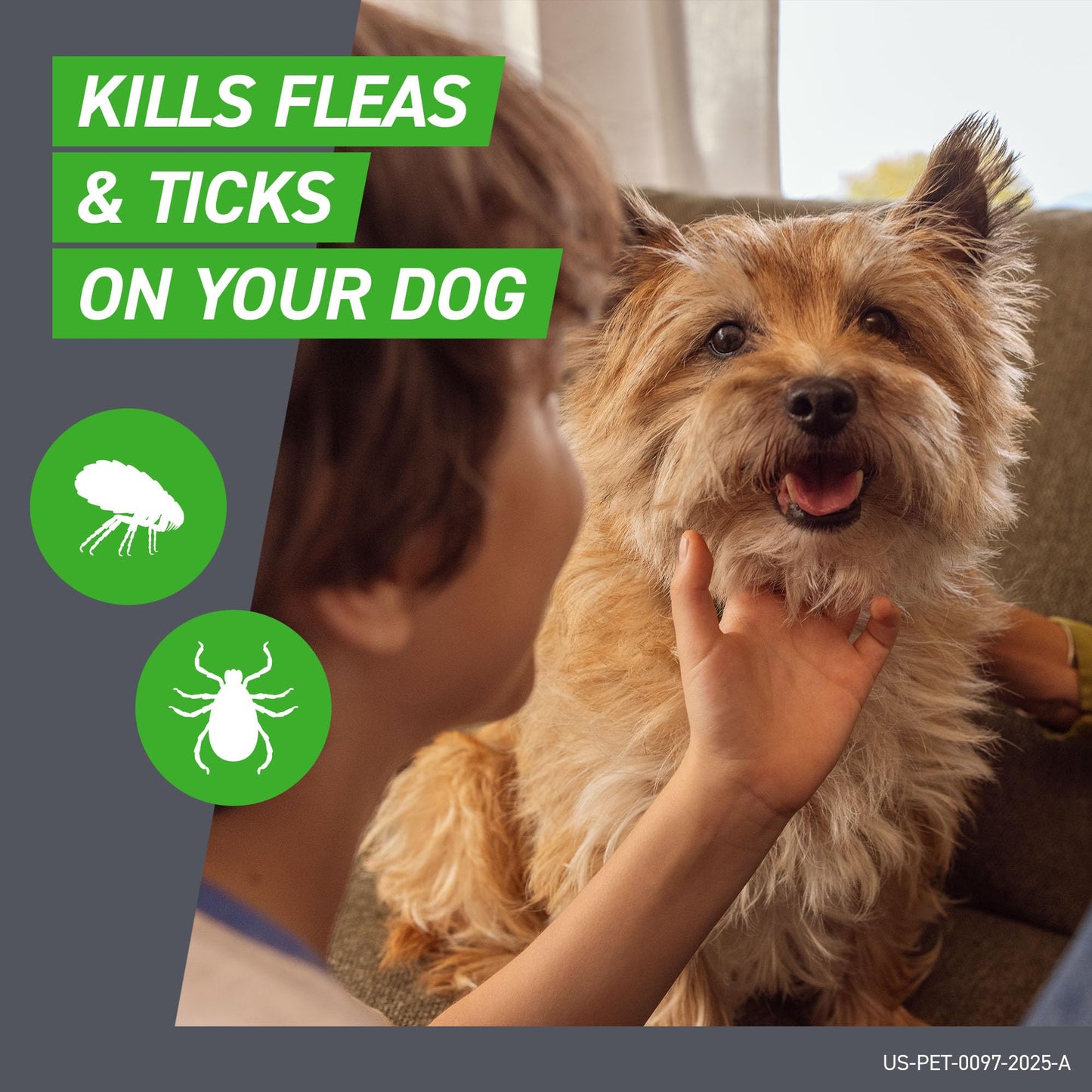 FRONTLINE Plus Flea and Tick Treatment for Small Dogs The Dachshund Zone