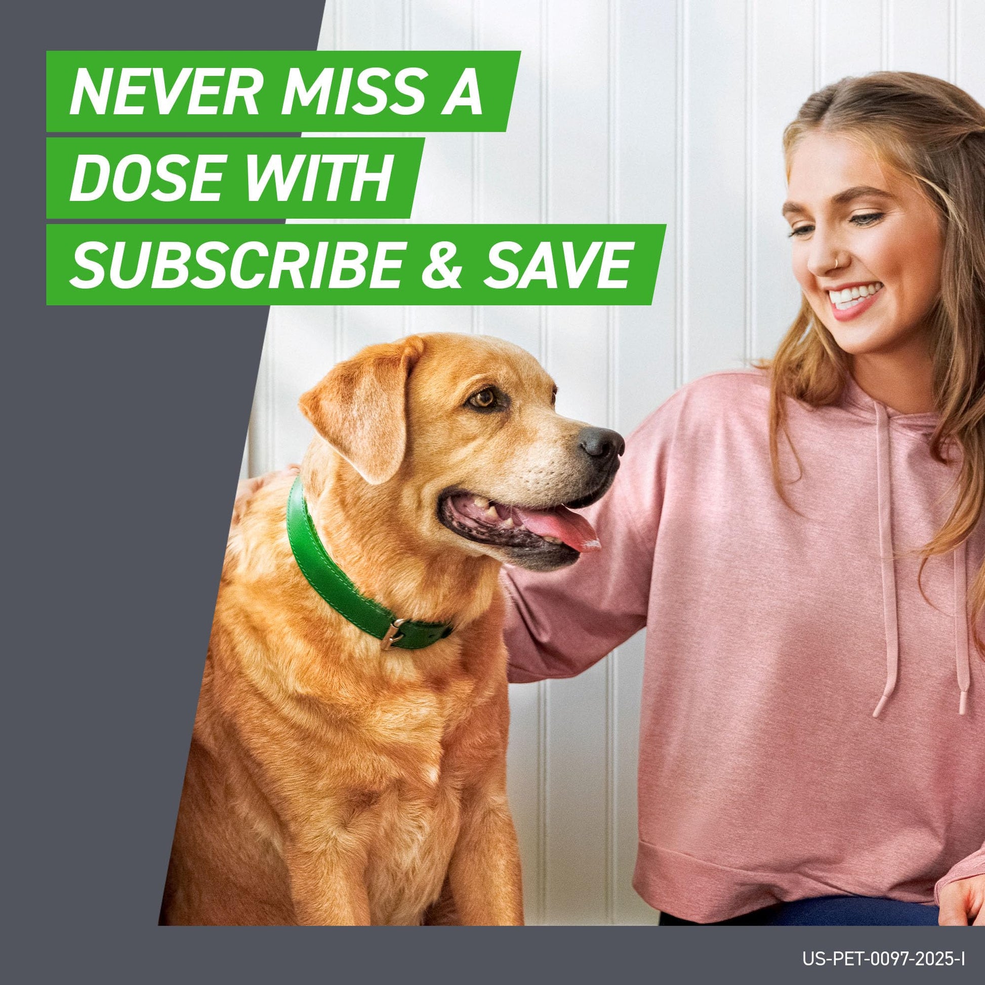 FRONTLINE Plus Flea and Tick Treatment for Small Dogs The Dachshund Zone