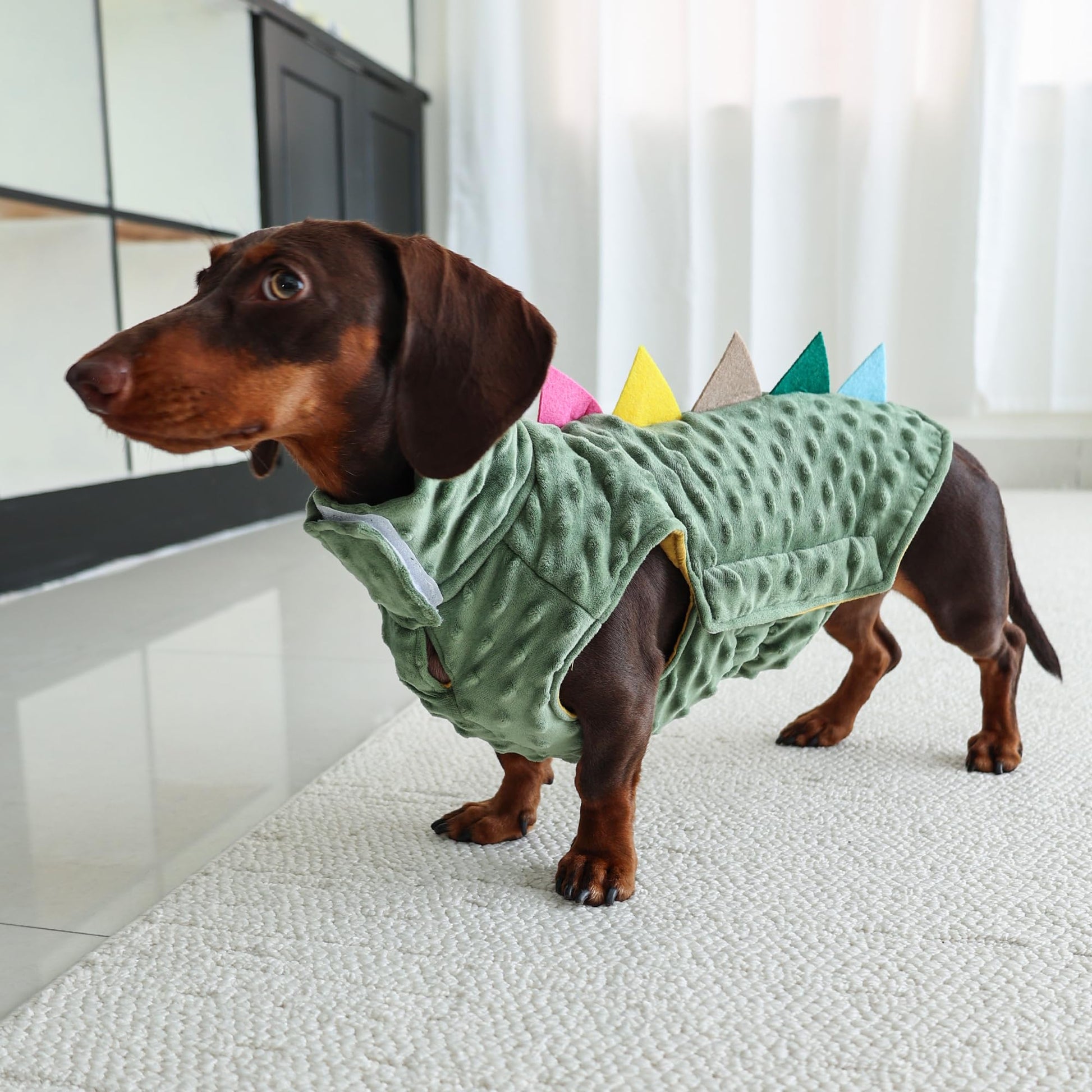Dinosaur Clothing Dog Shirt The Dachshund Zone