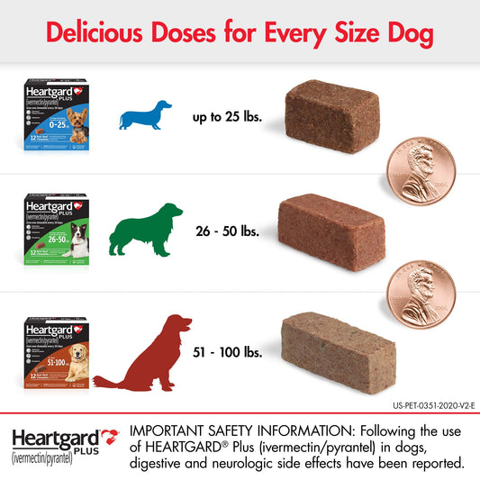 HEARTGARD® Plus (ivermectin/pyrantel) Real-Beef Chewables The Dachshund Zone