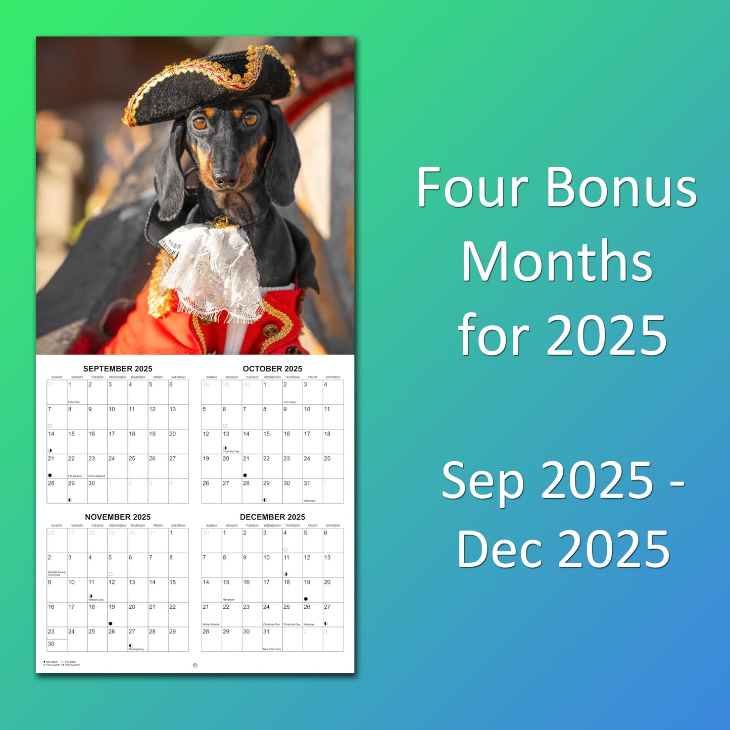 2026 Dachshunds at Work Monthly Wall Calendar The Dachshund Zone