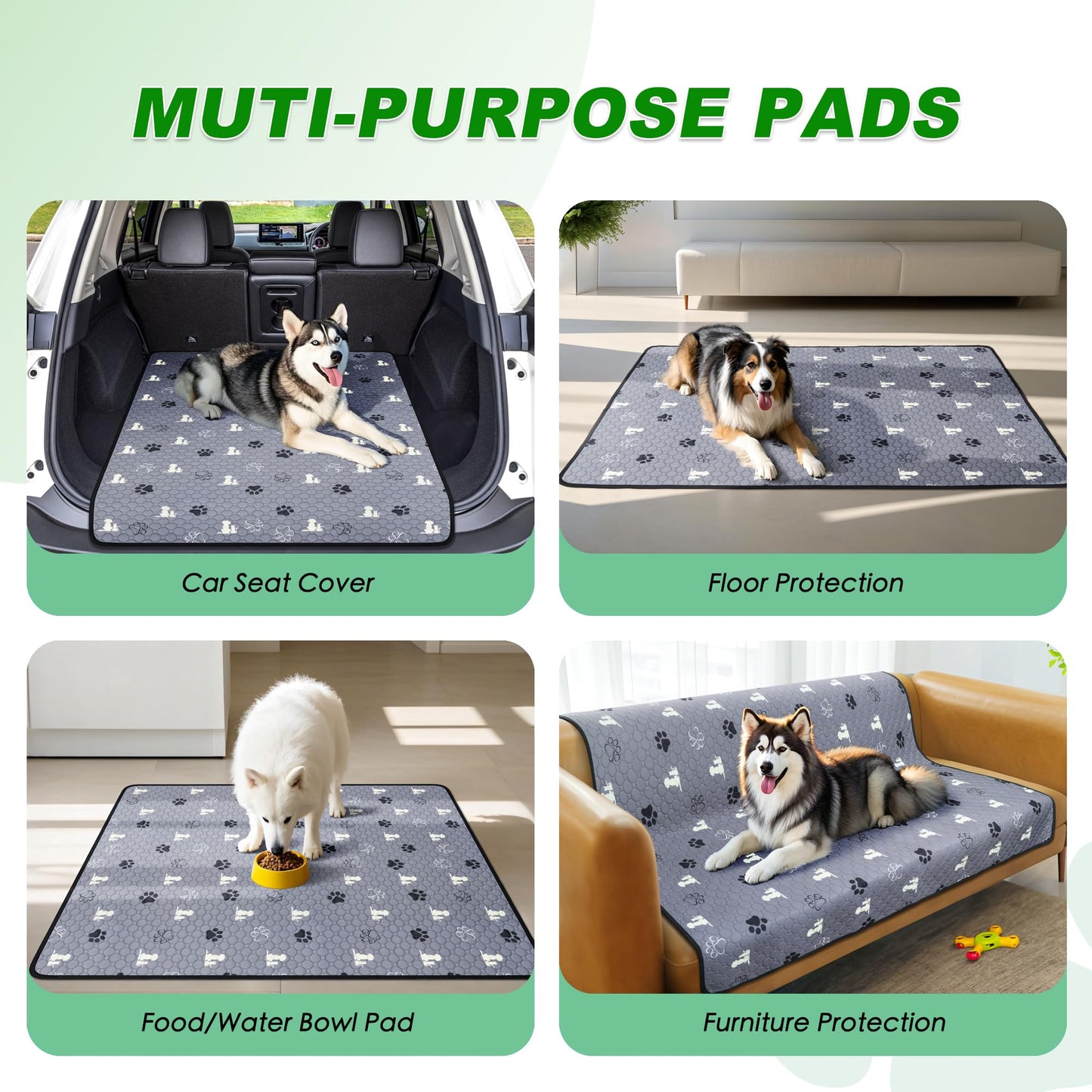 Washable Pee Pads for Dogs, Reusable Training The Dachshund Zone