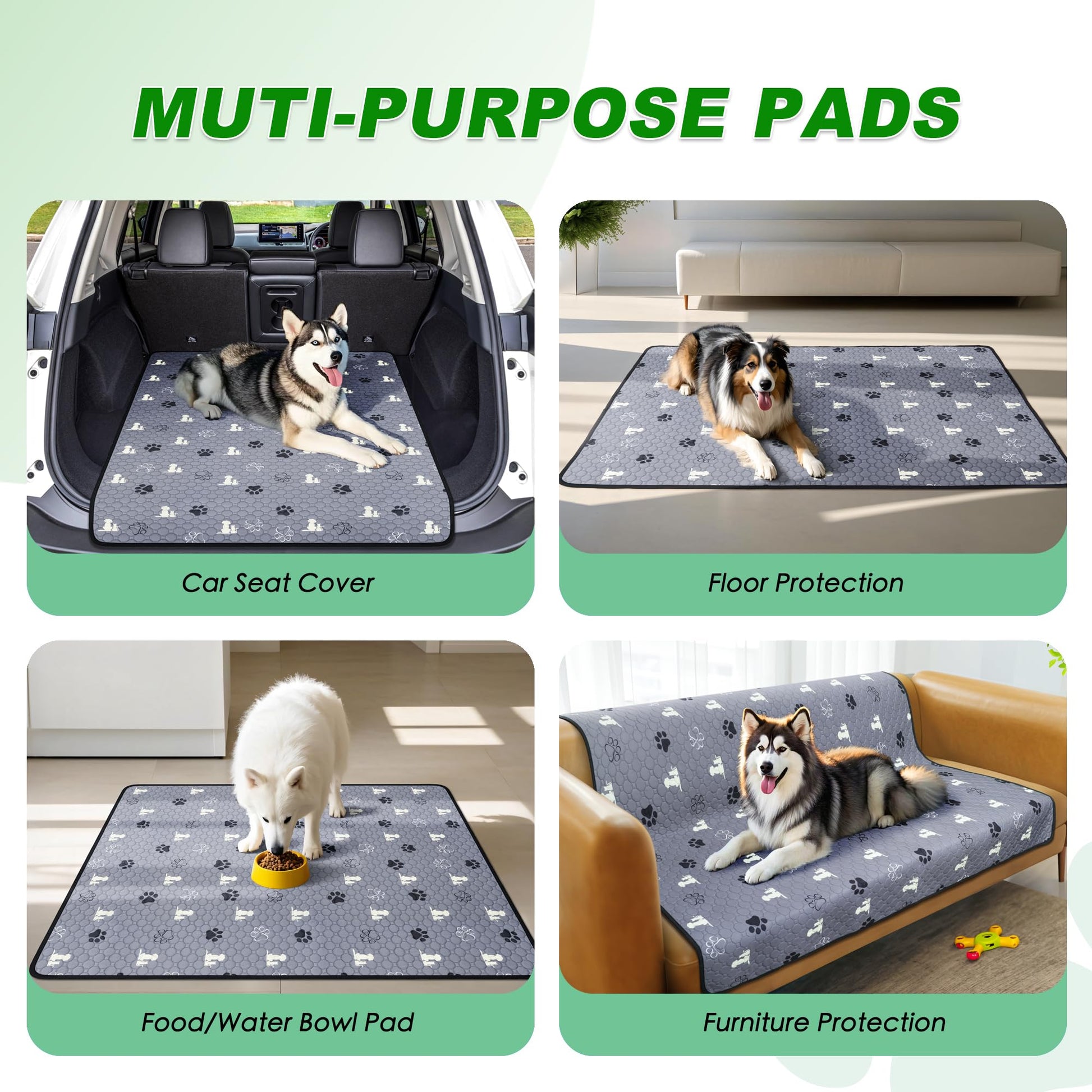 Washable Pee Pads for Dogs, Reusable Training The Dachshund Zone