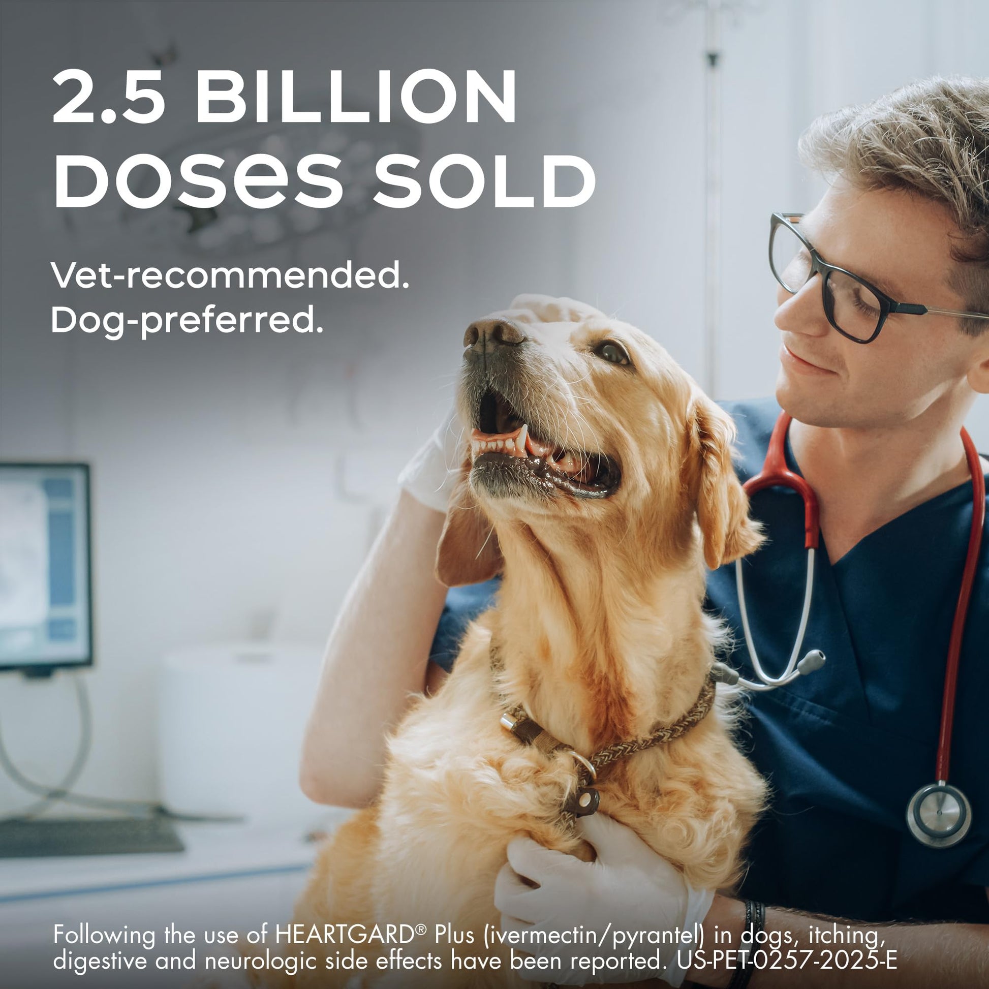 HEARTGARD® Plus (ivermectin/pyrantel) Real-Beef Chewables The Dachshund Zone