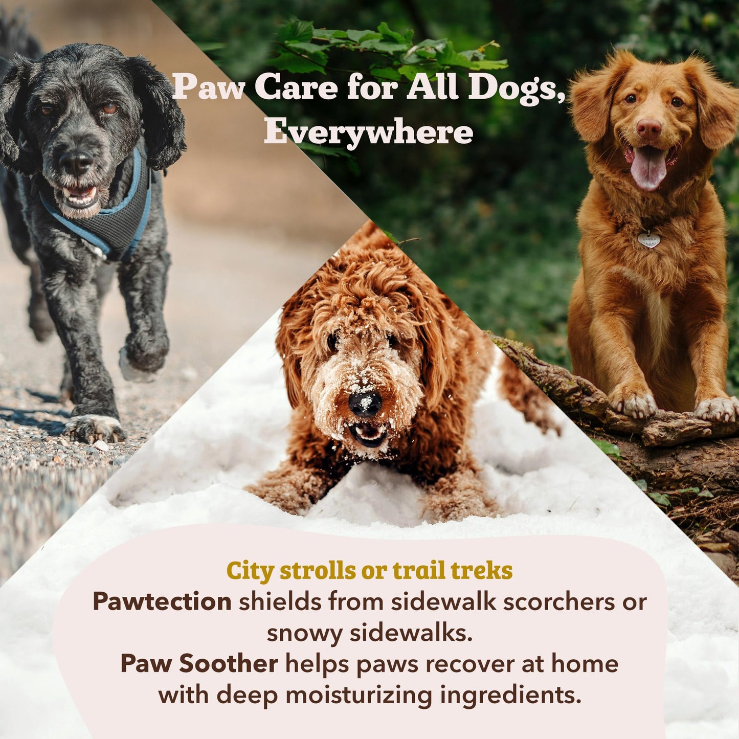 Natural Dog Company Paw Soother Balm & Wax for Dogs The Dachshund Zone
