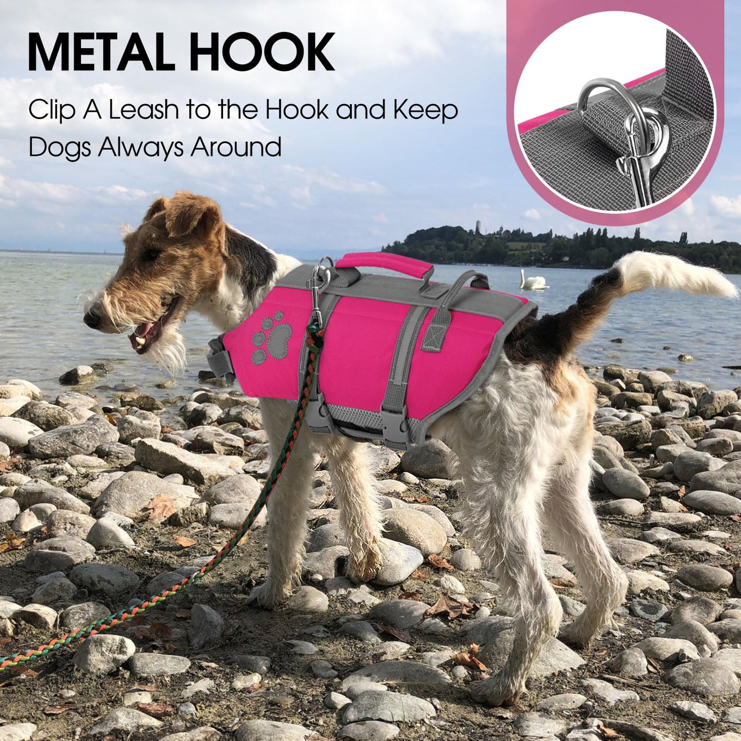 Queenmore Small Dog Life Jacket, Ripston Puppy Life Vest The Dachshund Zone