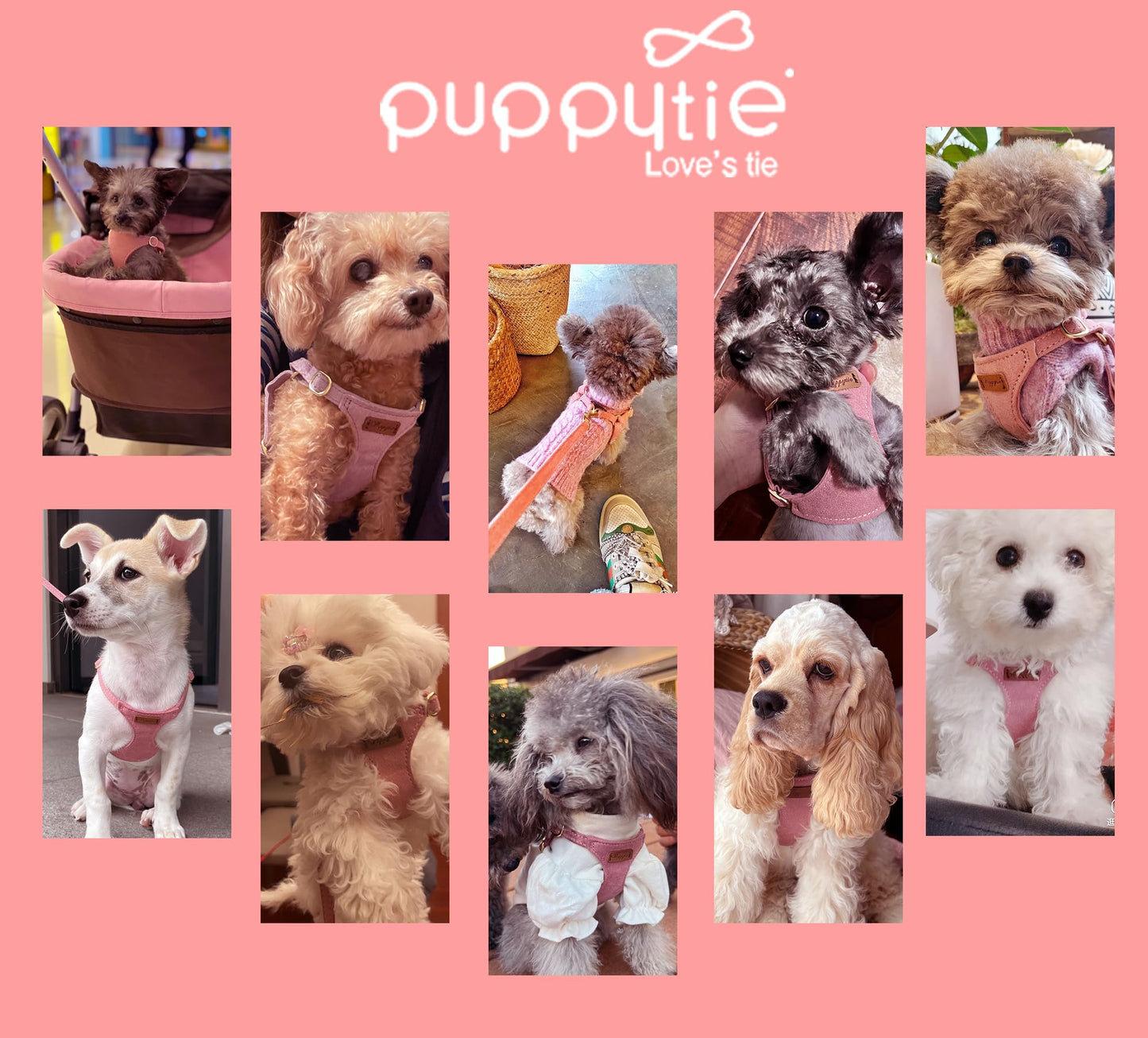 Puppytie No Pull XXS Puppy Harness with Multifunction Dog Leash The Dachshund Zone