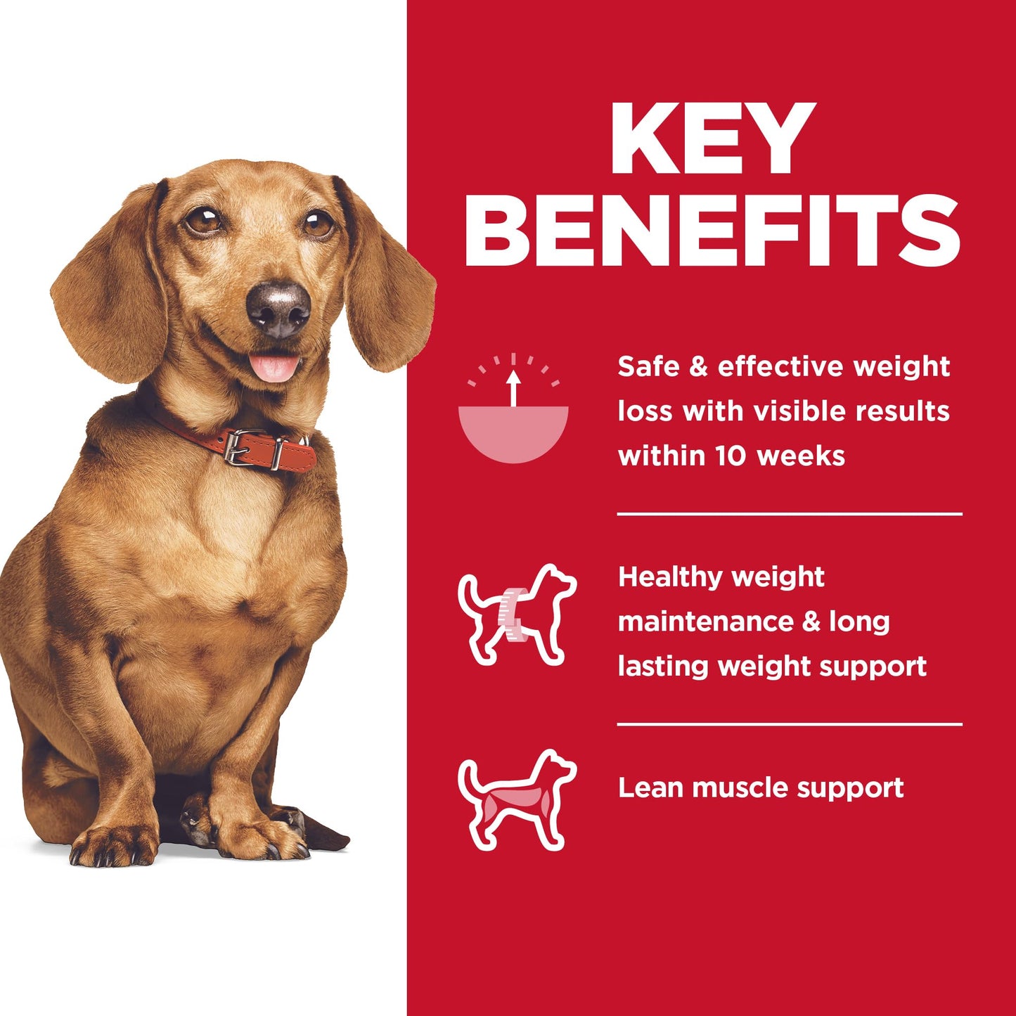 Hill's Science Diet Perfect Weight, Small & Mini Breeds Weight Management Support The Dachshund Zone