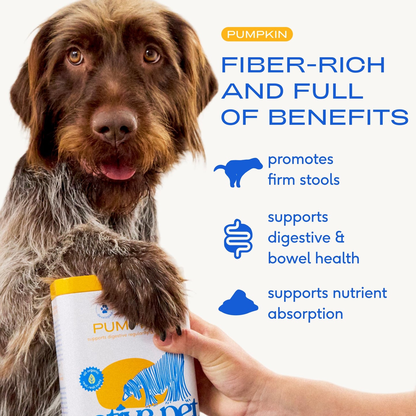 Native Pet Pumpkin for Dogs - Organic Dog Food Topper Powder The Dachshund Zone