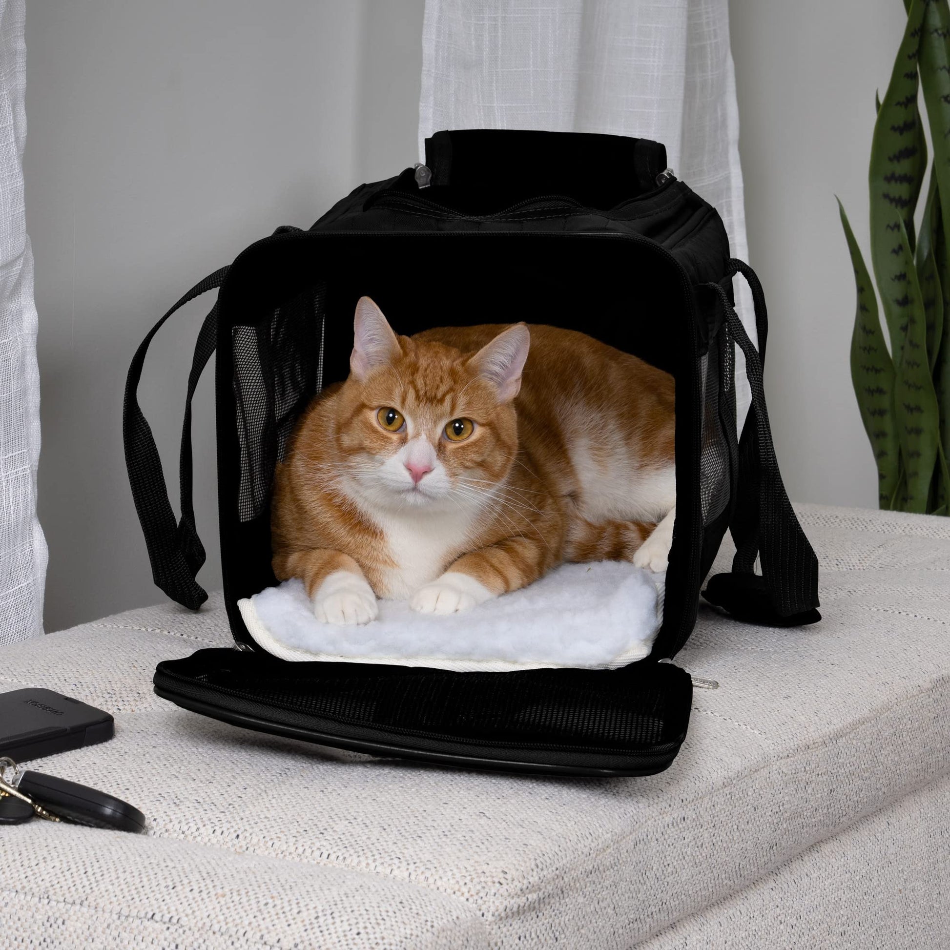Sherpa Original Deluxe Travel Pet Carrier, Airline Approved The Dachshund Zone