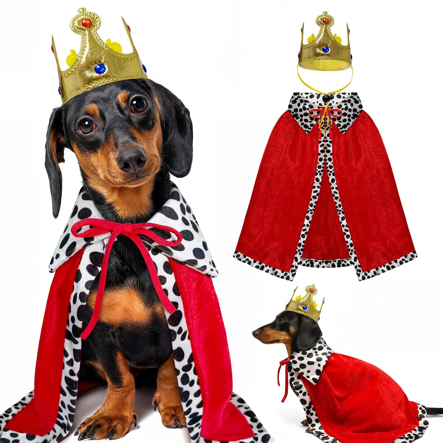 Small Dog Halloween Costumes The Dachshund Zone