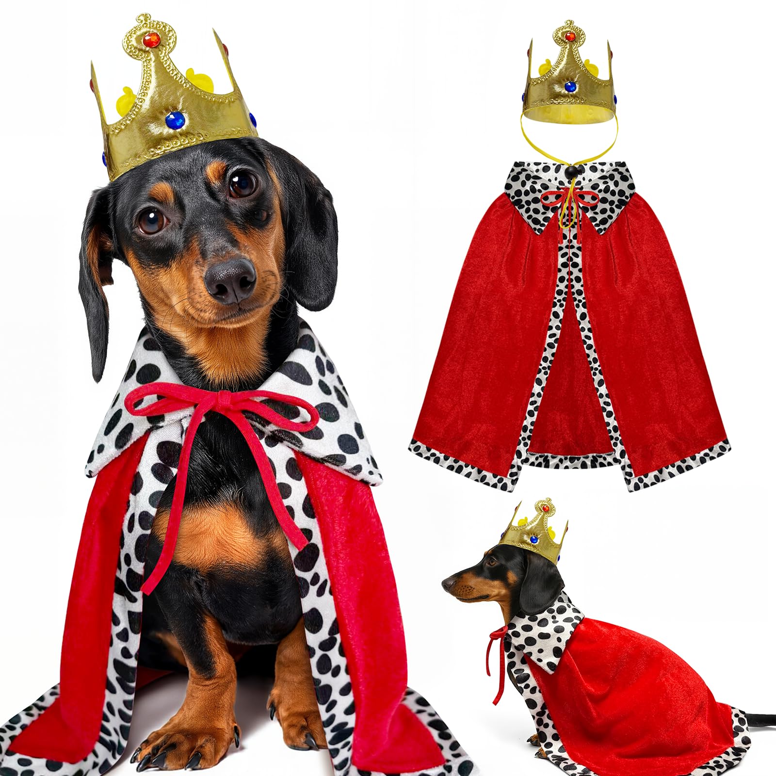Small Dog Halloween Costumes The Dachshund Zone