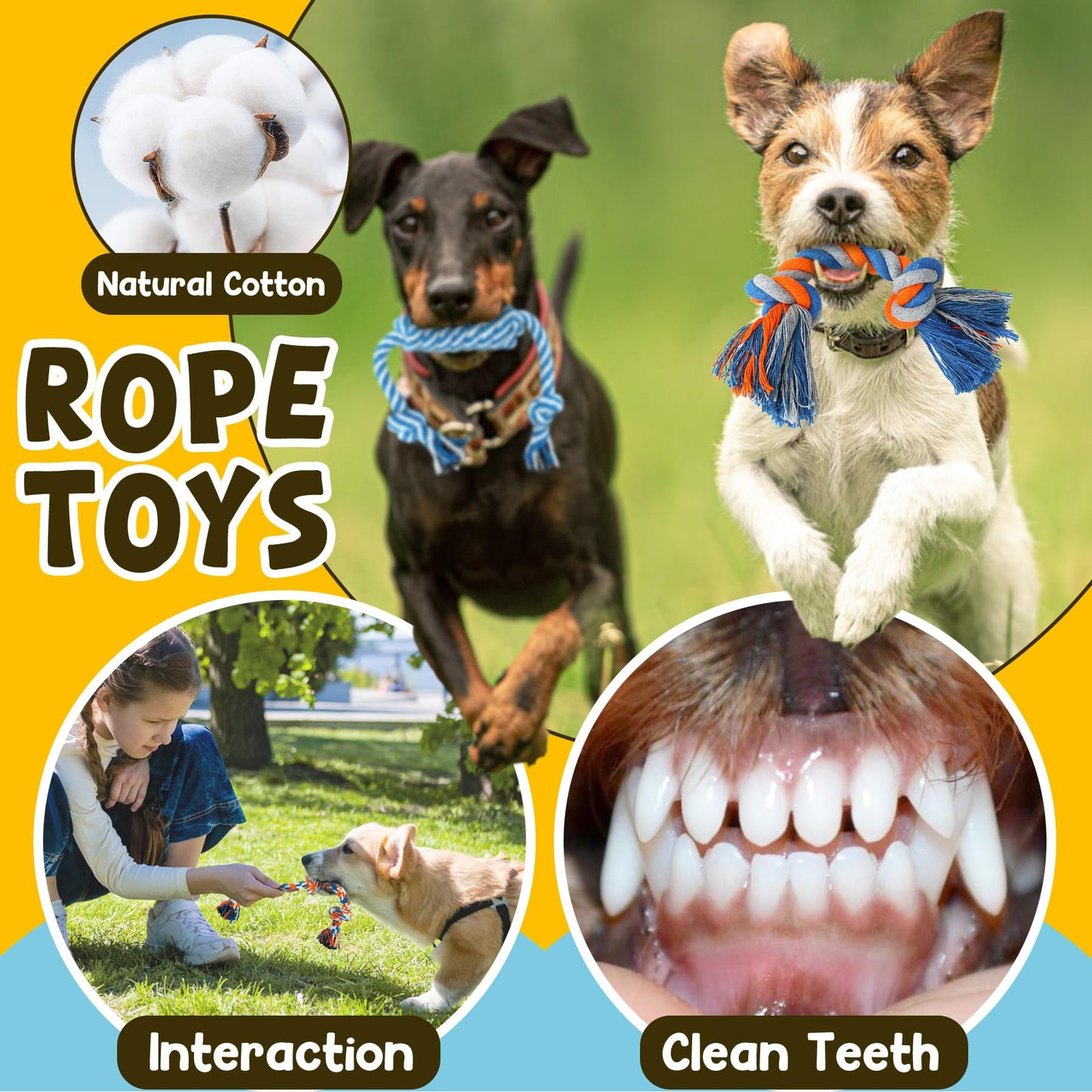 Zeaxuie 9 Pack Luxury Puppy Toys for Teething Small Dogs The Dachshund Zone