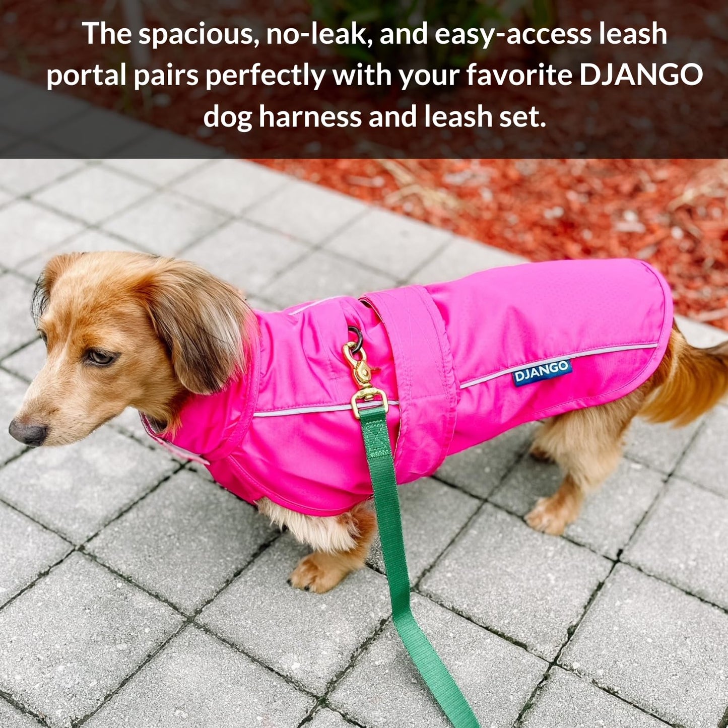 DJANGO Dog Jacket & Raincoat – Lightweight Water-Resistant Coat for Long Dogs The Dachshund Zone