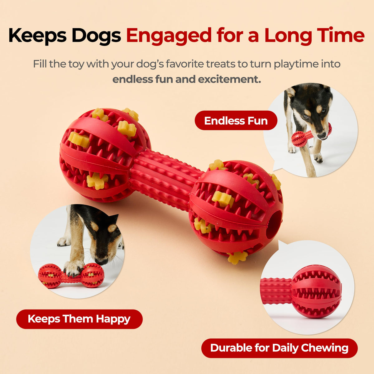 JAYU PET Toothbrush Toy Dog Chew Toy for Aggressive Chewers, Durable Dental Toy for Small & Medium Dogs, Teeth Cleaning Toy to Keep Them Busy, Remove Plaque & Tartar The Dachshund Zone
