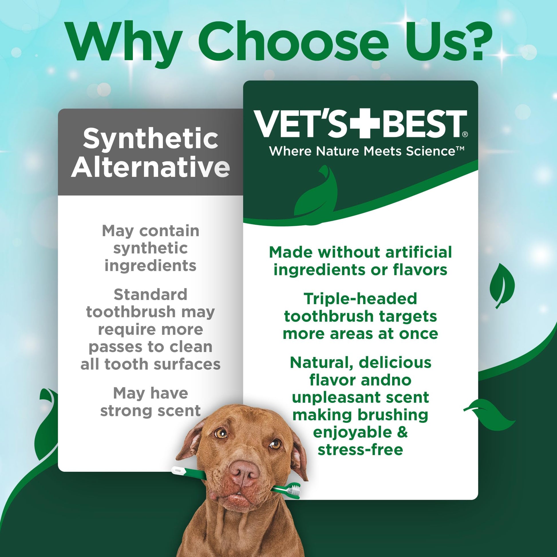 Vet's Best Dog Toothpaste & Dog Toothbrush, Dental Kit The Dachshund Zone