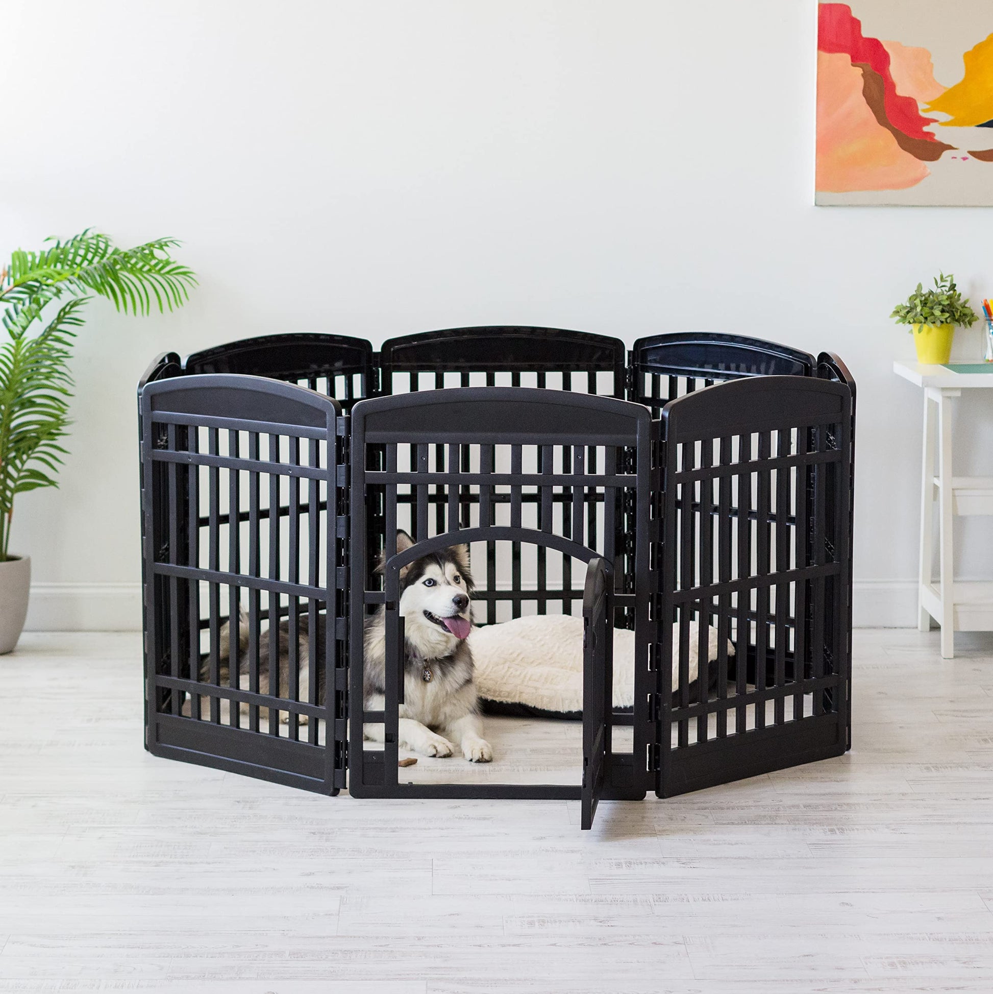IRIS USA 34" 8-Panel Dog Playpen with Door, 63 x 63 x 35 The Dachshund Zone