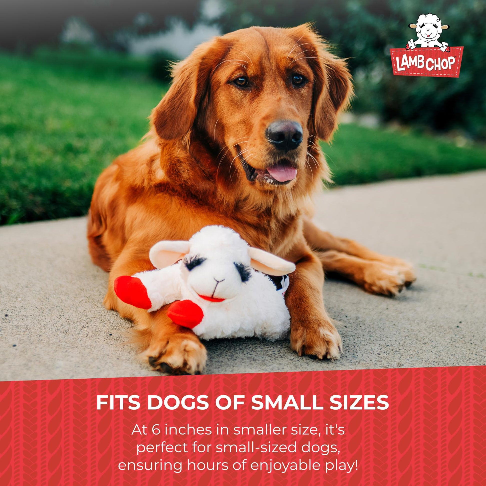 Multipet Lamb Chop Dog Plush Toy - Squeaky Toy for All Dogs The Dachshund Zone