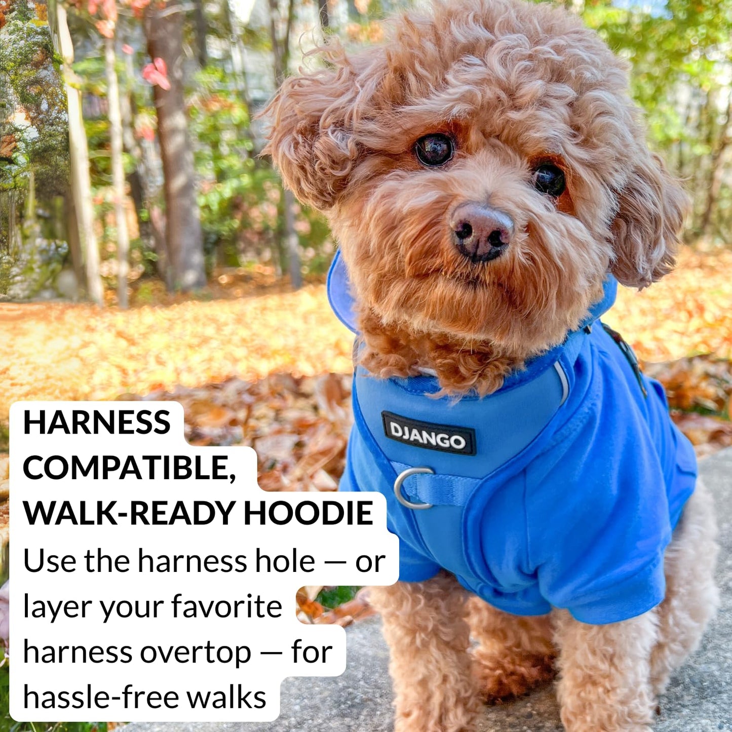 Dog Hoodie – Warm Winter Dog Sweater & Fully Lined The Dachshund Zone