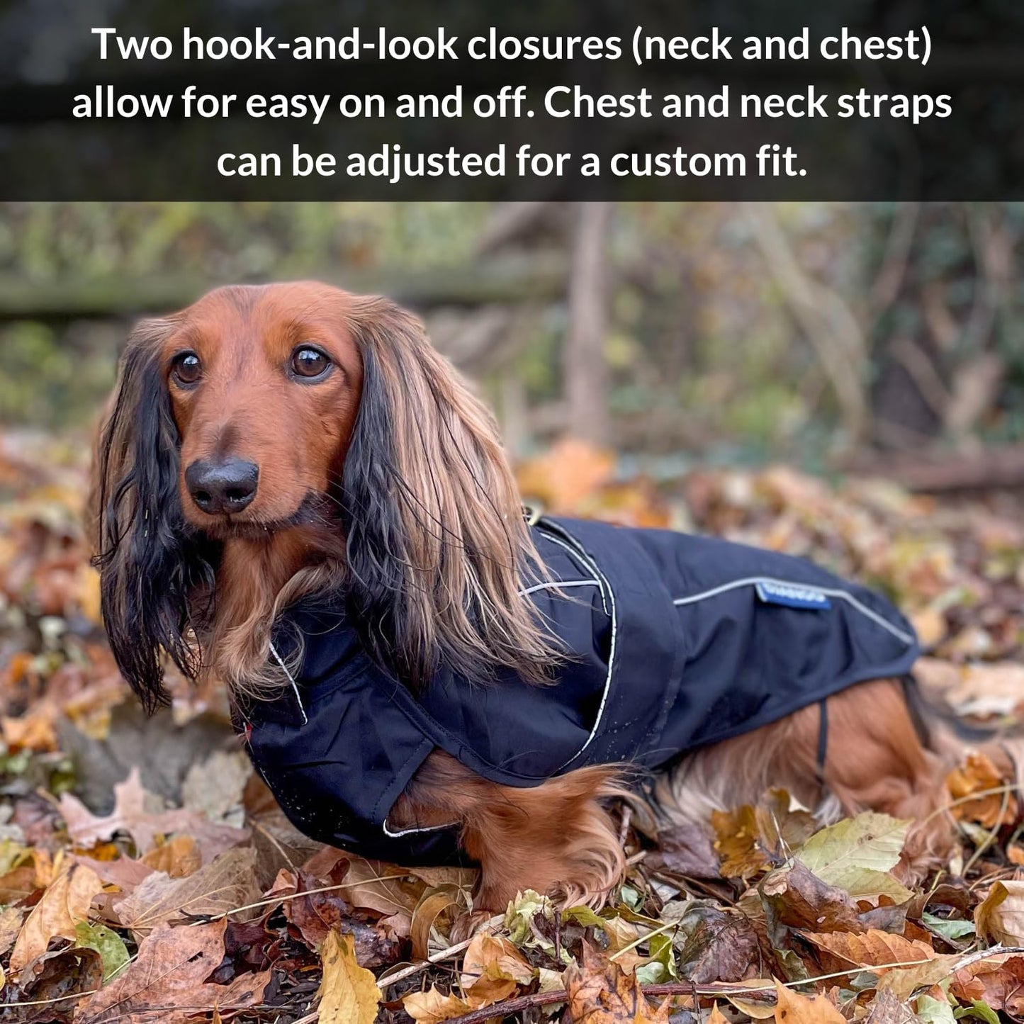 DJANGO Dog Jacket & Raincoat – Lightweight Water-Resistant Coat for Long Dogs The Dachshund Zone