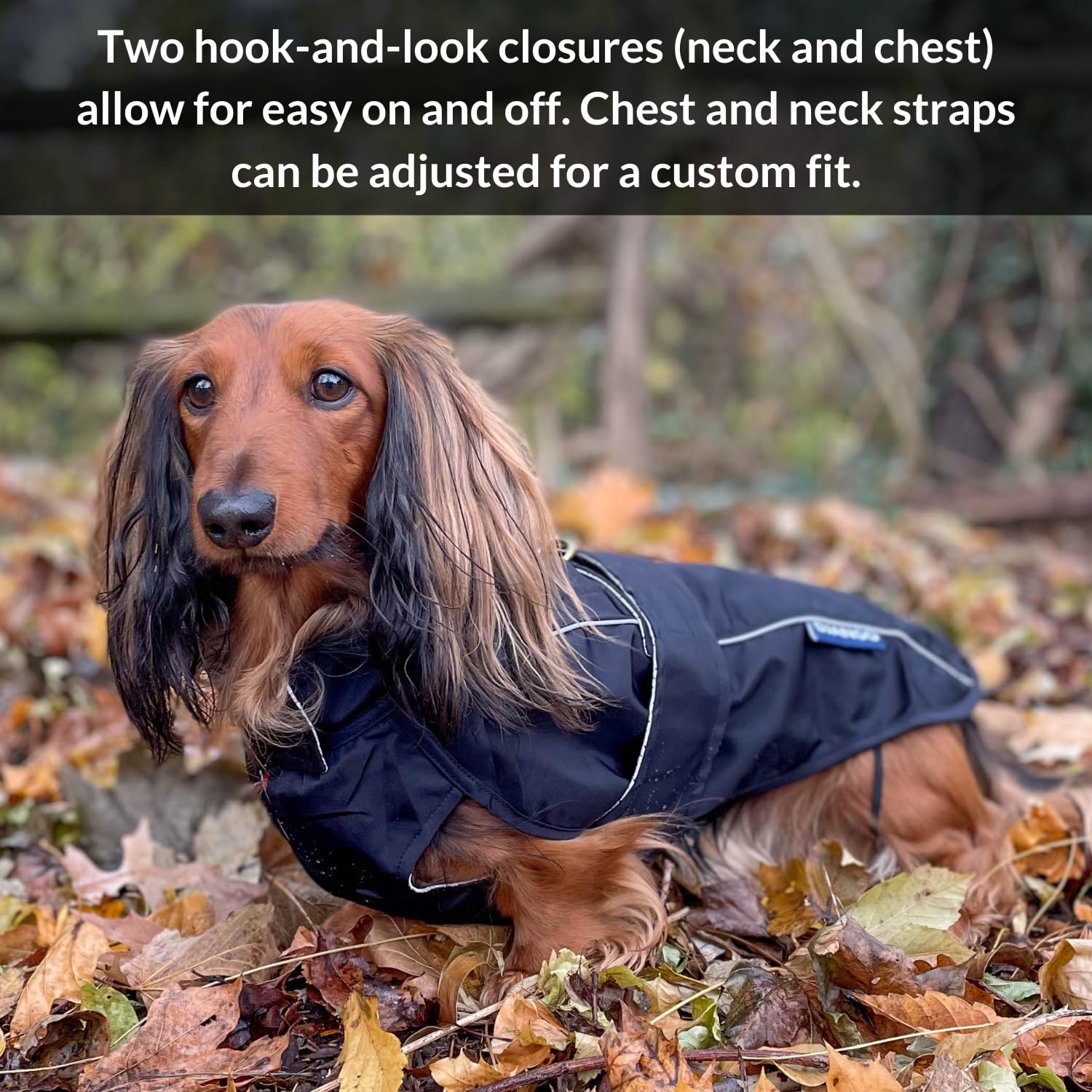 DJANGO Dog Jacket & Raincoat – Lightweight Water-Resistant Coat for Long Dogs The Dachshund Zone
