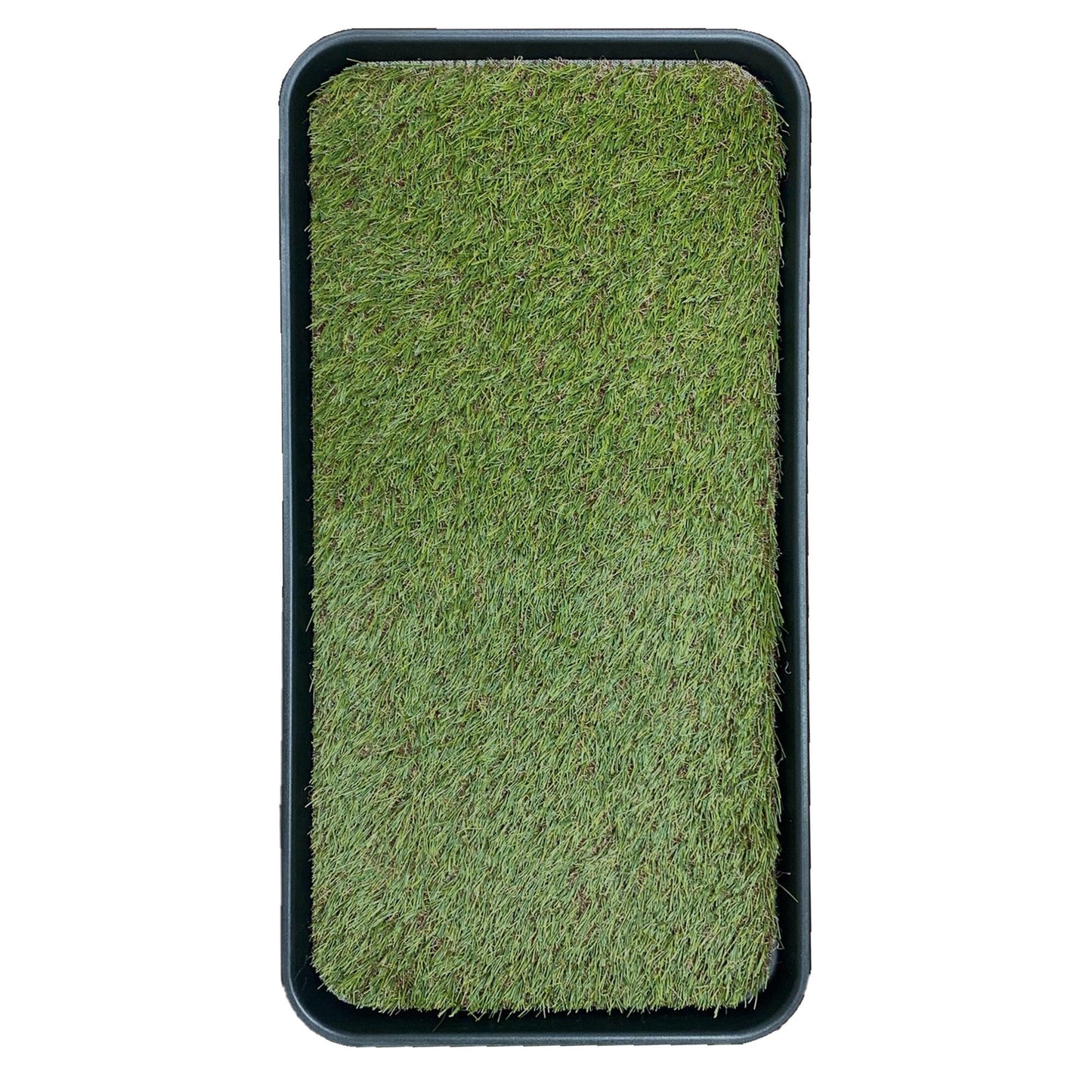 Ottomanson Artificial Grass Puppy Potty Training Pad with Tray, 15" x 30" Reusable Pee Pad The Dachshund Zone