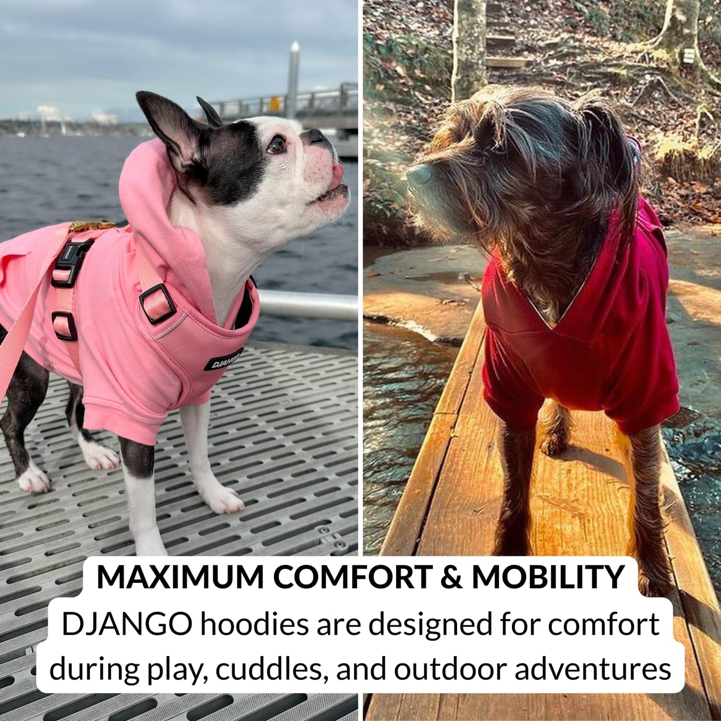 Dog Hoodie – Warm Winter Dog Sweater & Fully Lined The Dachshund Zone