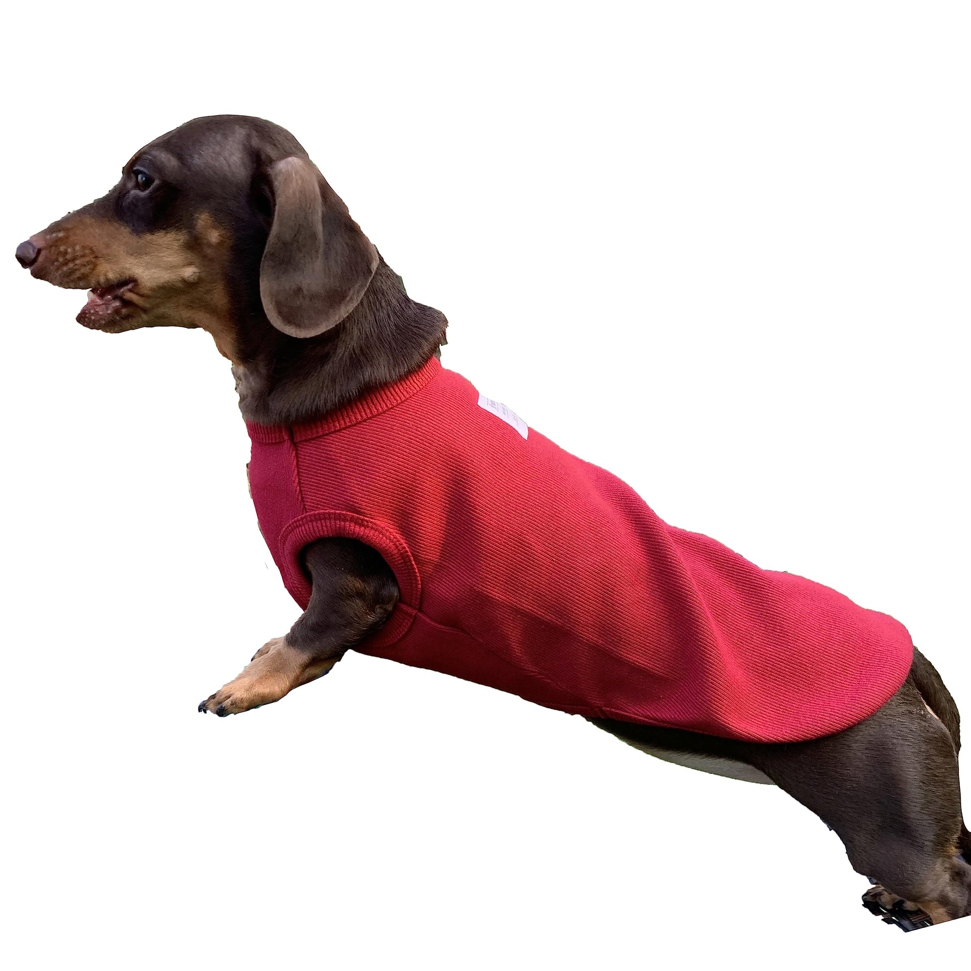 D Doggy Star Dachshund Clothes for Dogs Mini and Adults T Shirts (XS,Solid Wine) The Dachshund Zone