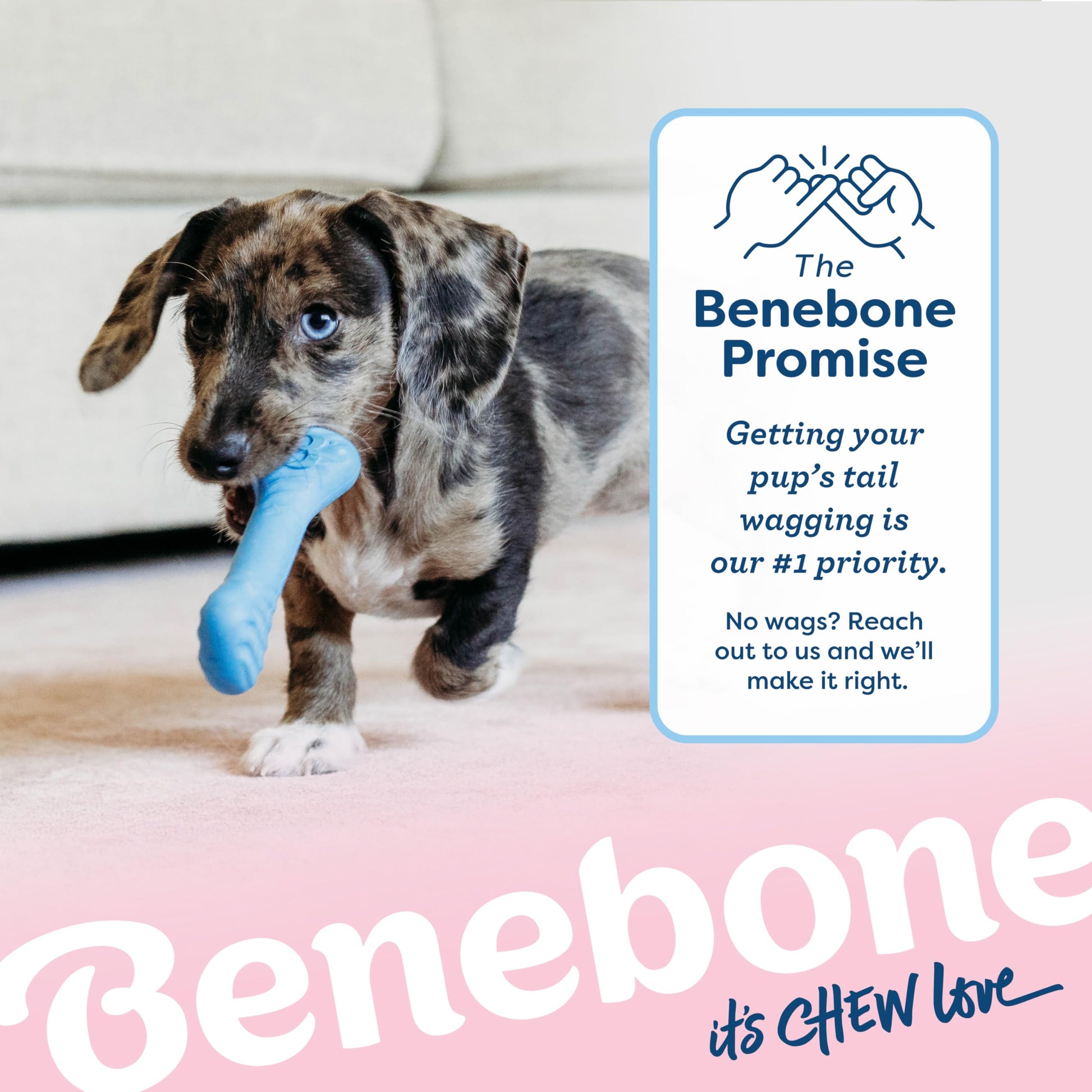 Benebone Puppy 2-Pack Rubber Bone/Wishbone Bacon Tiny The Dachshund Zone