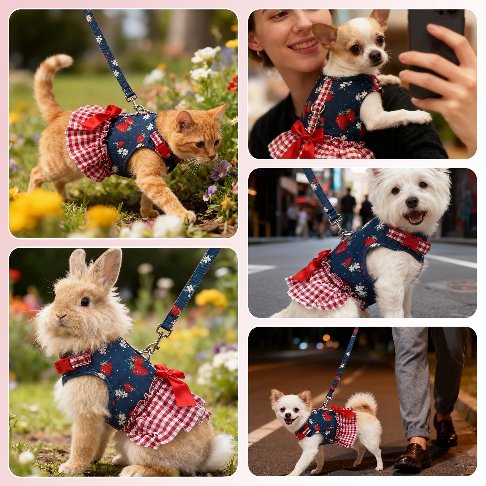EXPAWLORER Dog Harness Small Medium Sized Dogs, Plaid Dog Dress Bowknot Harness and Leash Set, No Choke No Pull Soft Mesh Vest Cute Princess Puppy Outfits Clothes Costume for Girls Party Cats Navy M The Dachshund Zone
