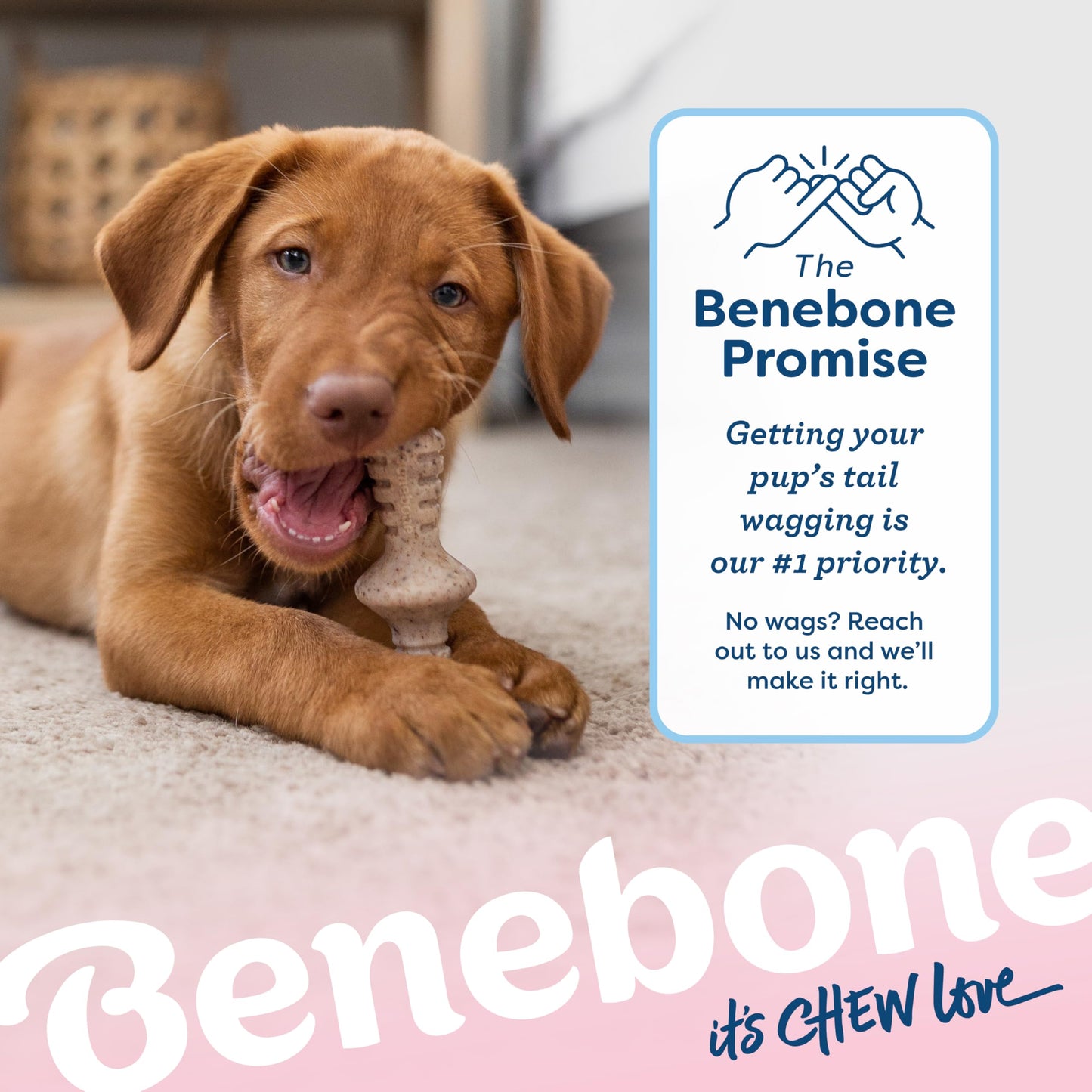 Benebone Puppy 2-Pack Maplestick/Zaggler The Dachshund Zone
