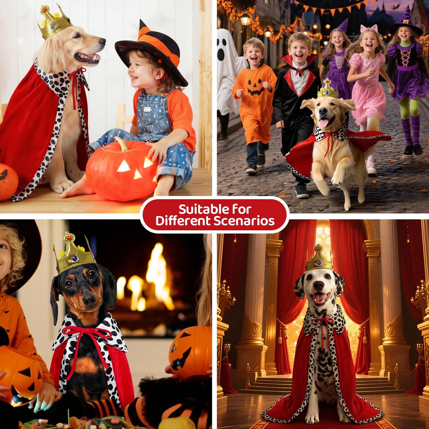 Small Dog Halloween Costumes The Dachshund Zone