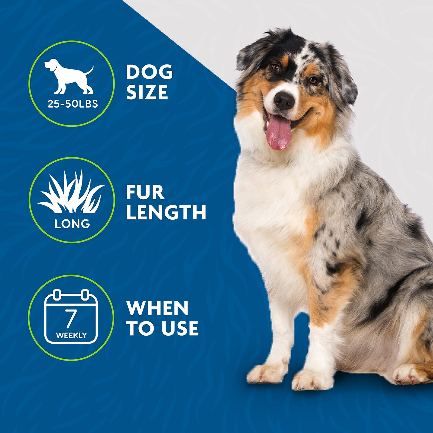 FURminator Medium Dog Undercoat deShedding Tool, Long Hair, Reduces Loose Hair from Shedding The Dachshund Zone